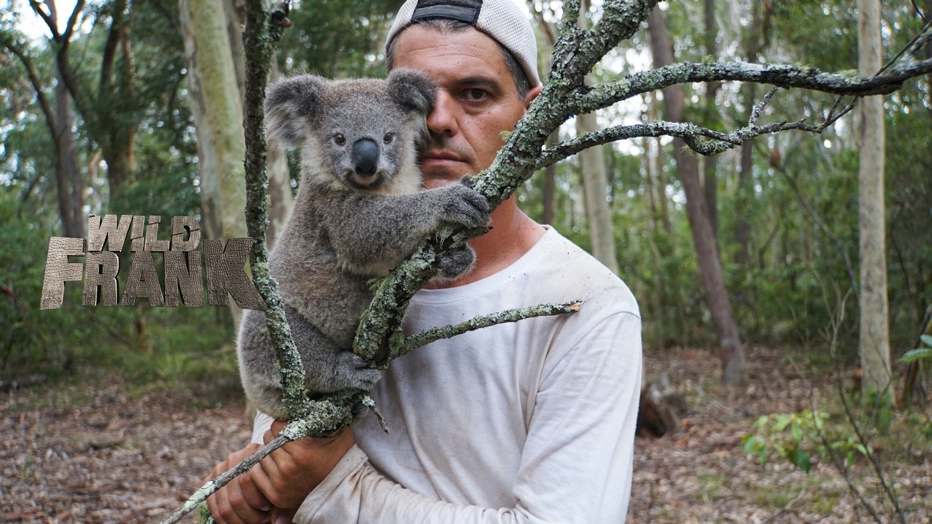 Wild Frank Background