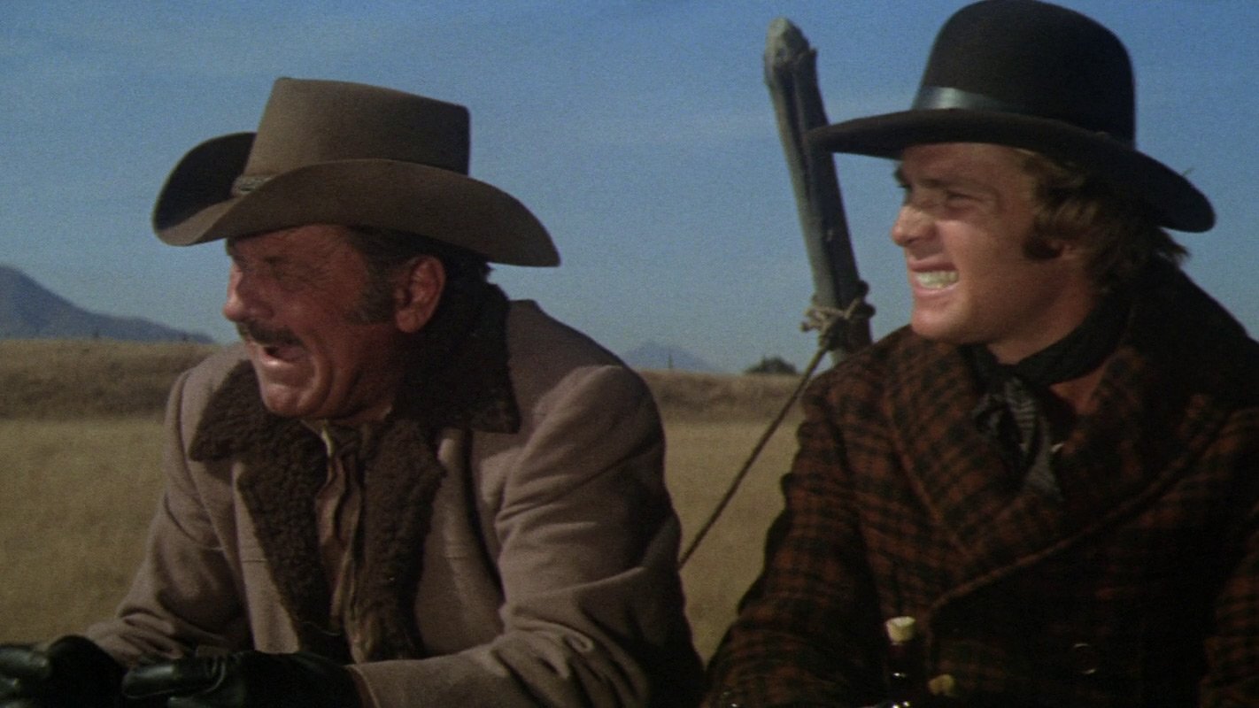 Wild Rovers Background