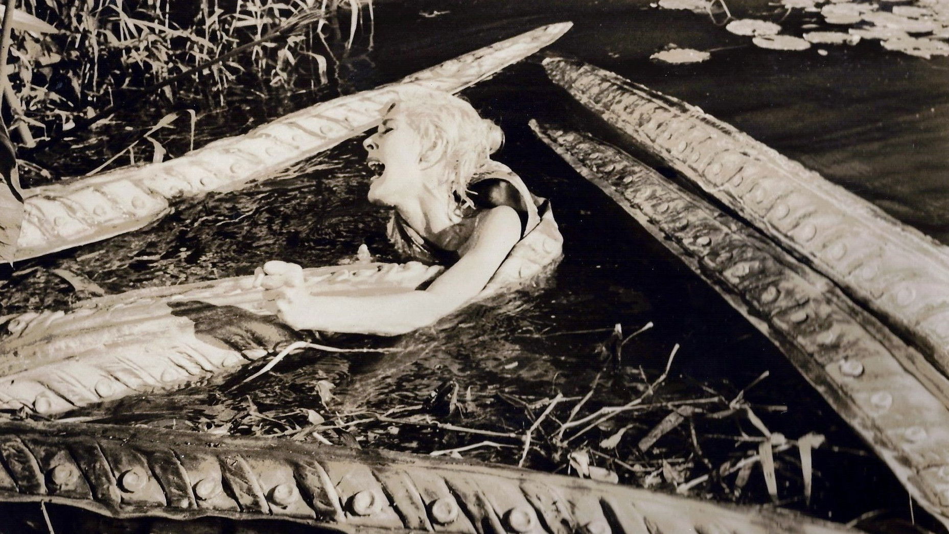 Voodoo Island Background