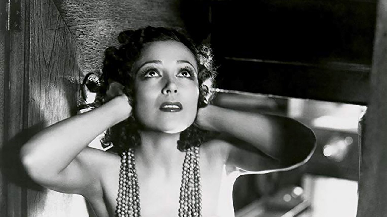 Bird of Paradise Background