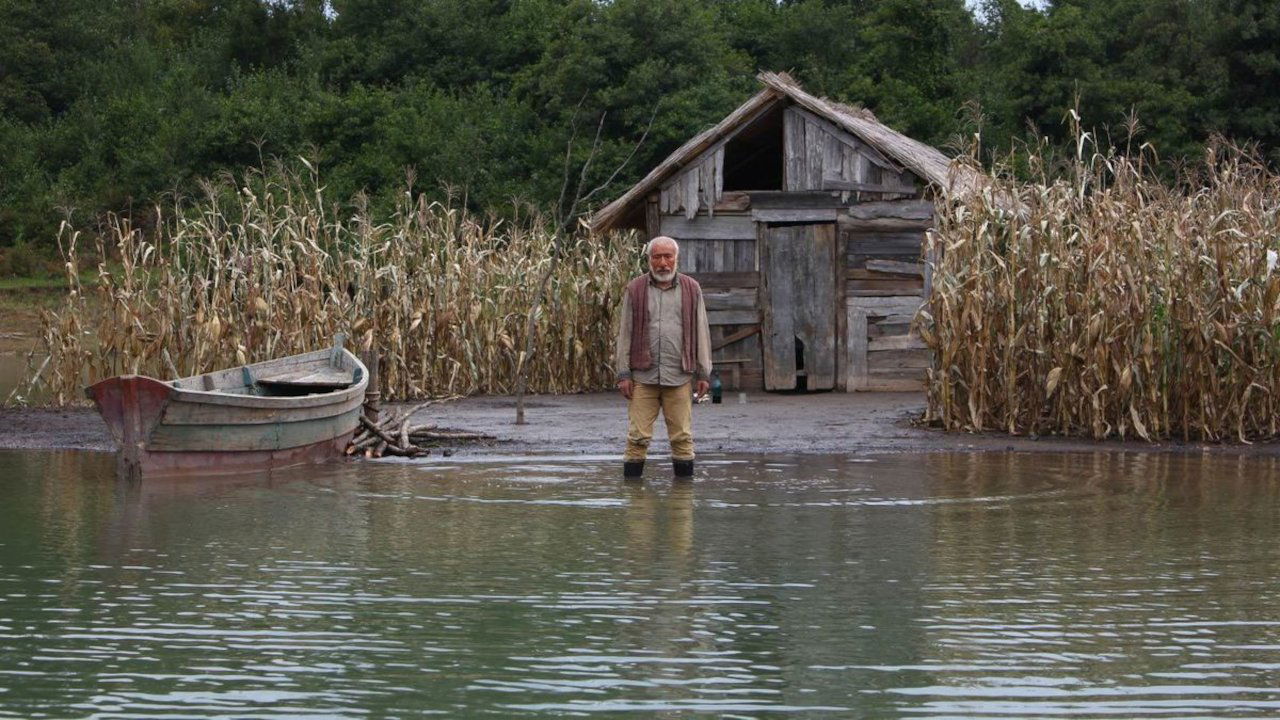 Corn Island Background