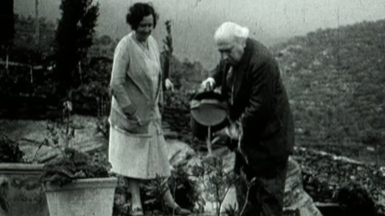 Eating Sea Urchins Background