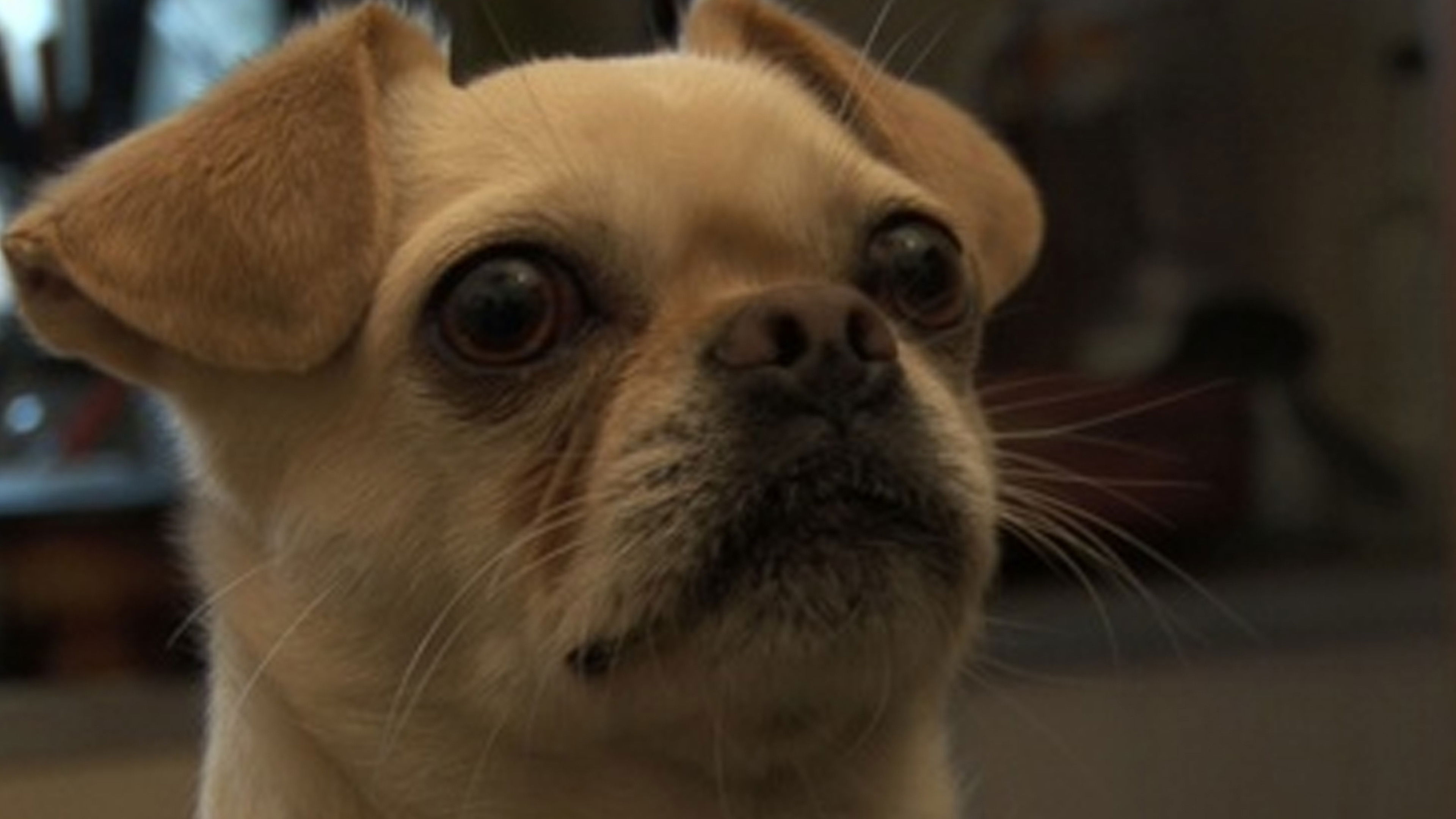 El mate amargo Background