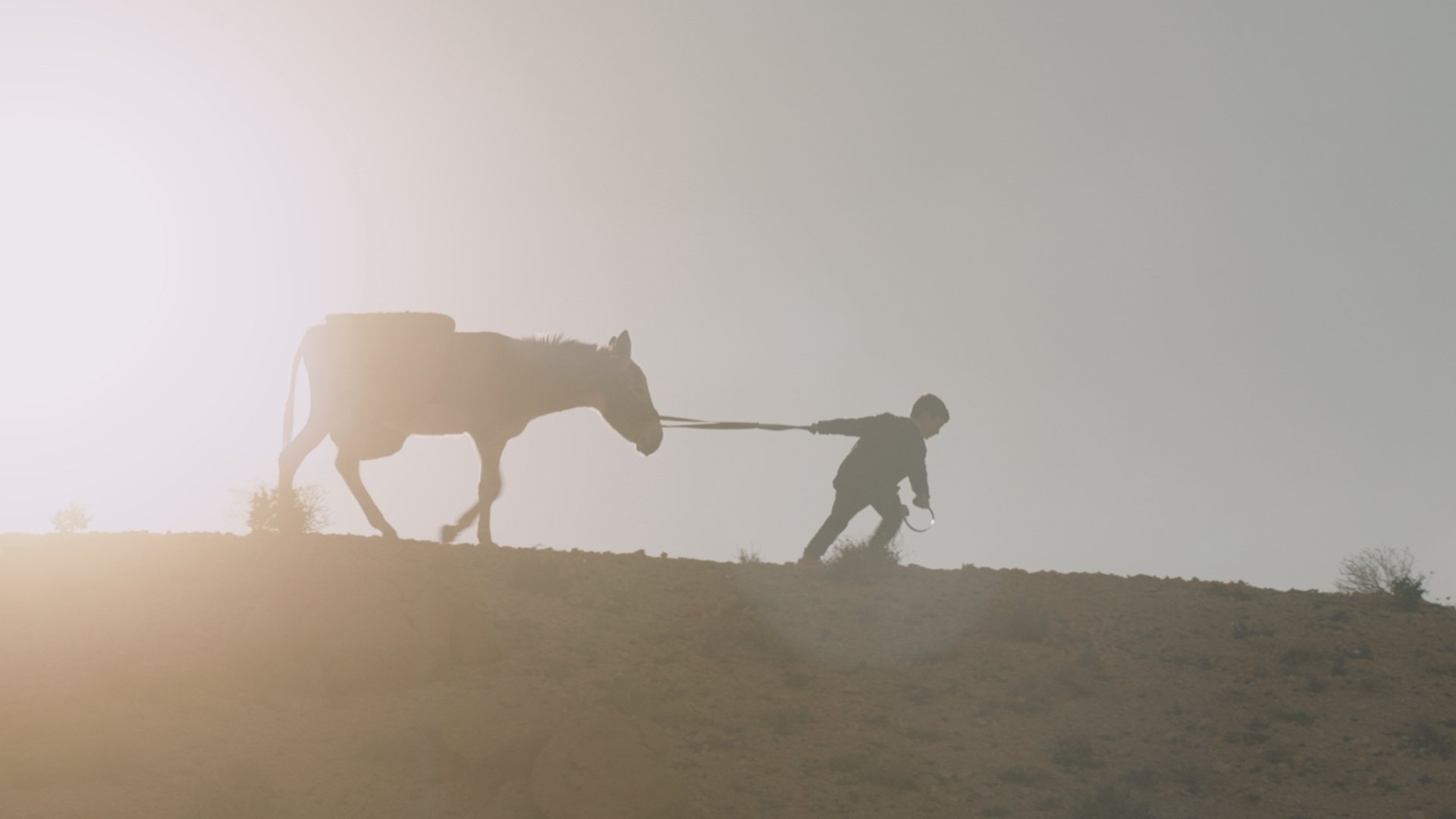 Nefta Football Club Background