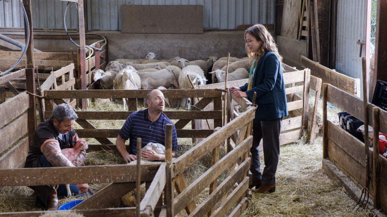 La Doc et le Véto Background