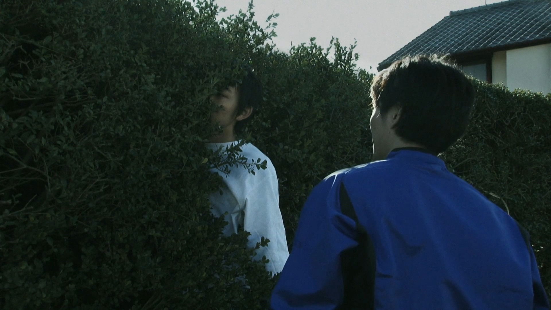 Pet Peeve Background