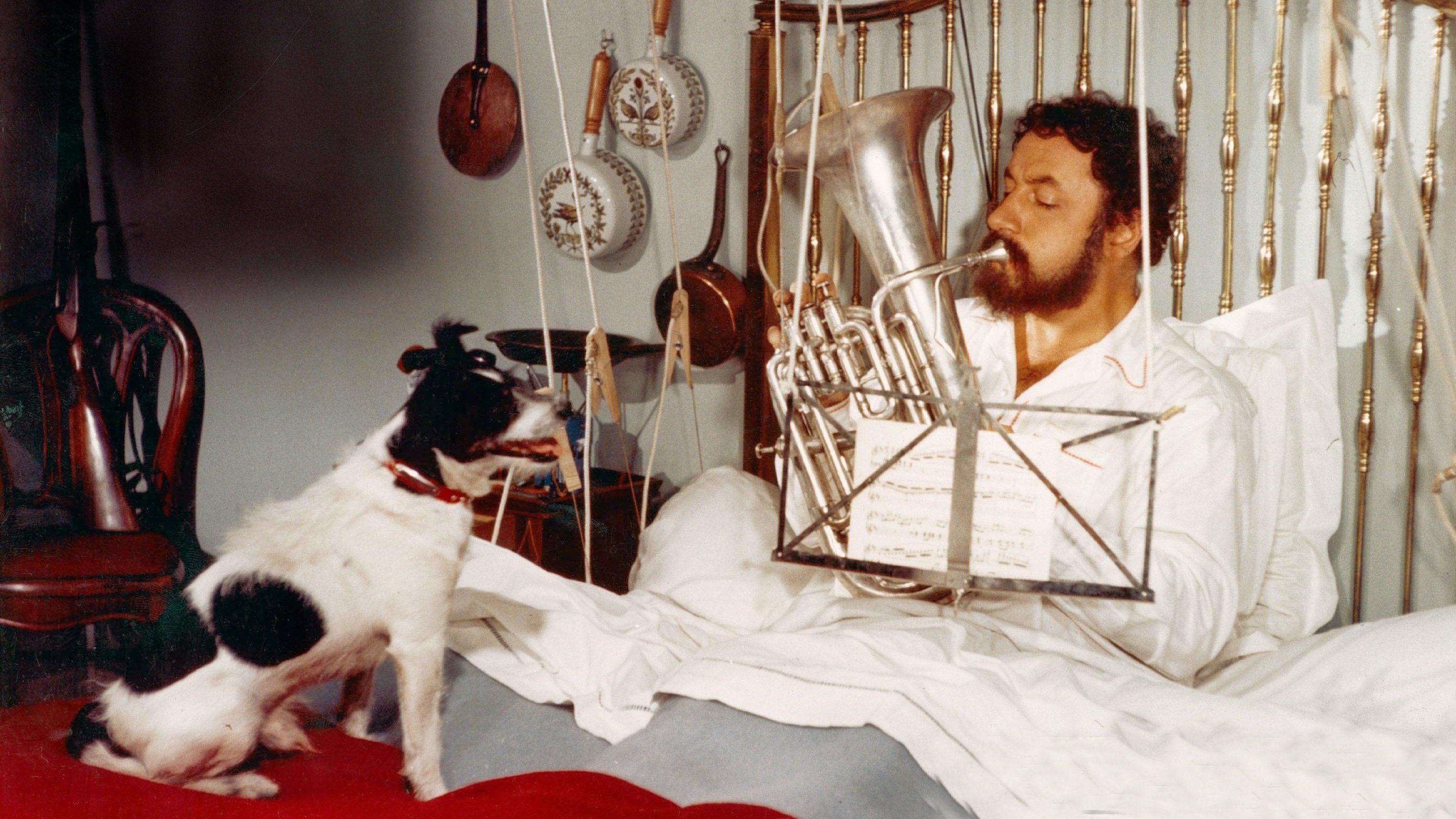 Very Happy Alexander Background