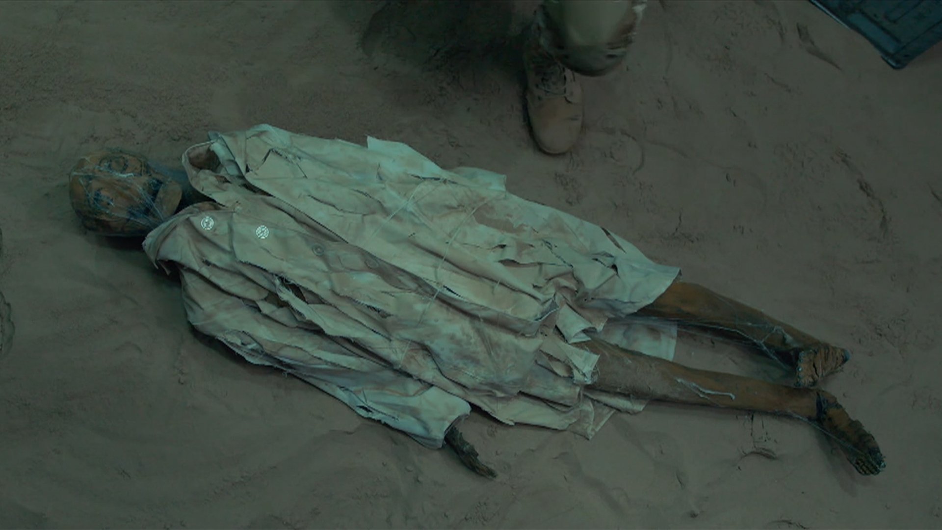 Giant Spider Background