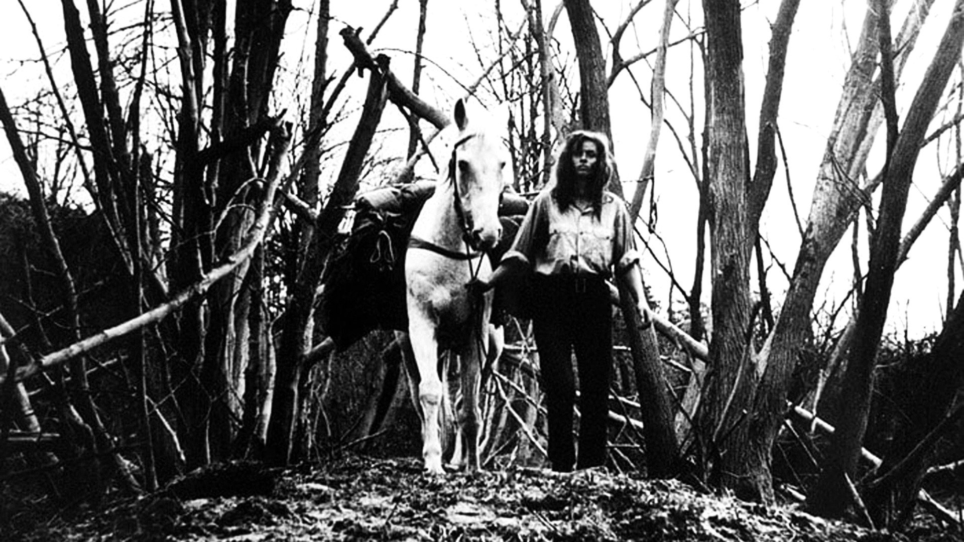 The End of August at the Hotel Ozone Background