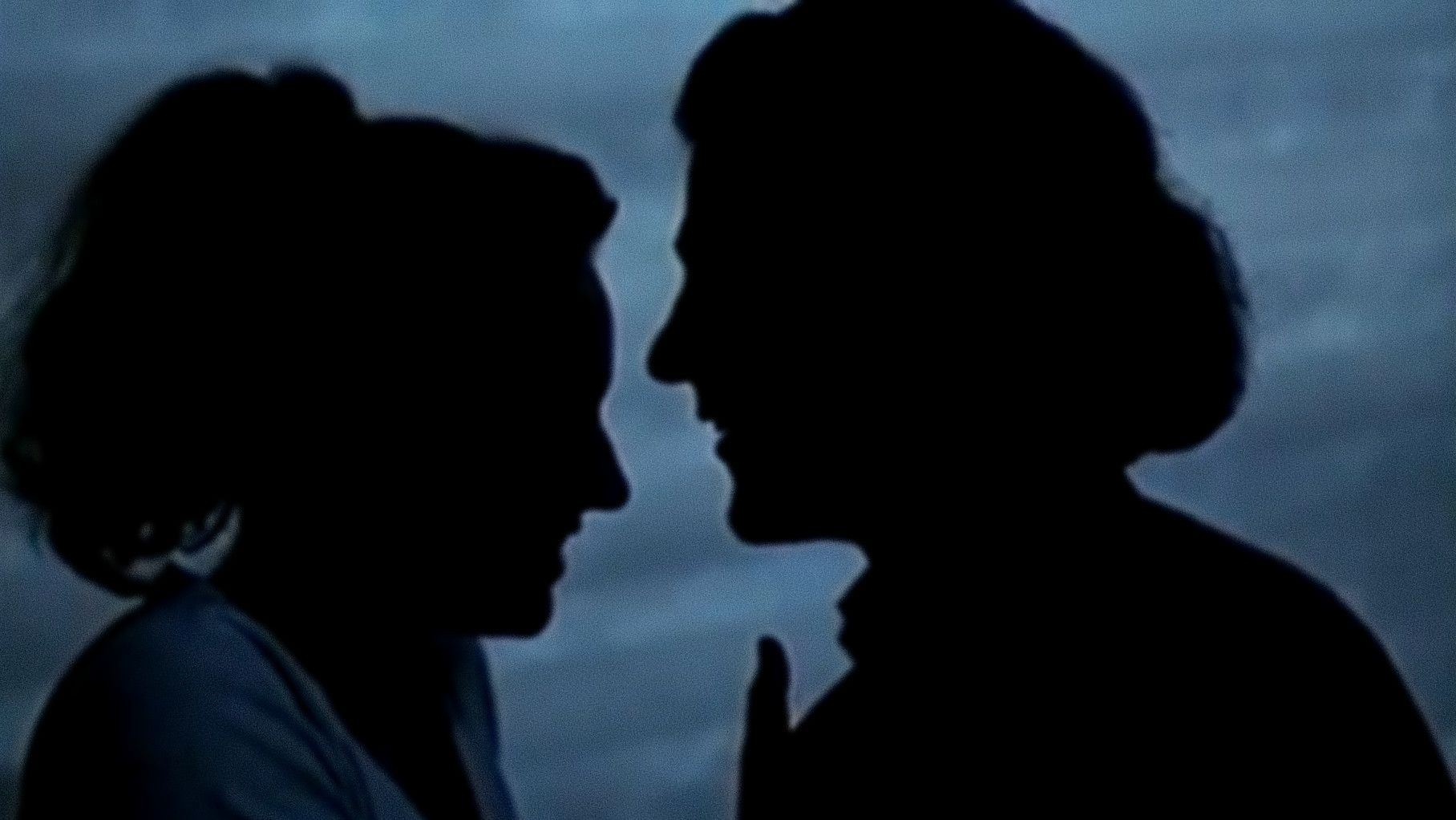 Barking at the Stars Background