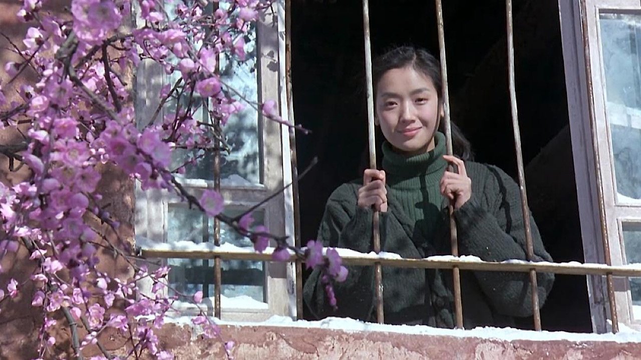 Treasure Hunt Background