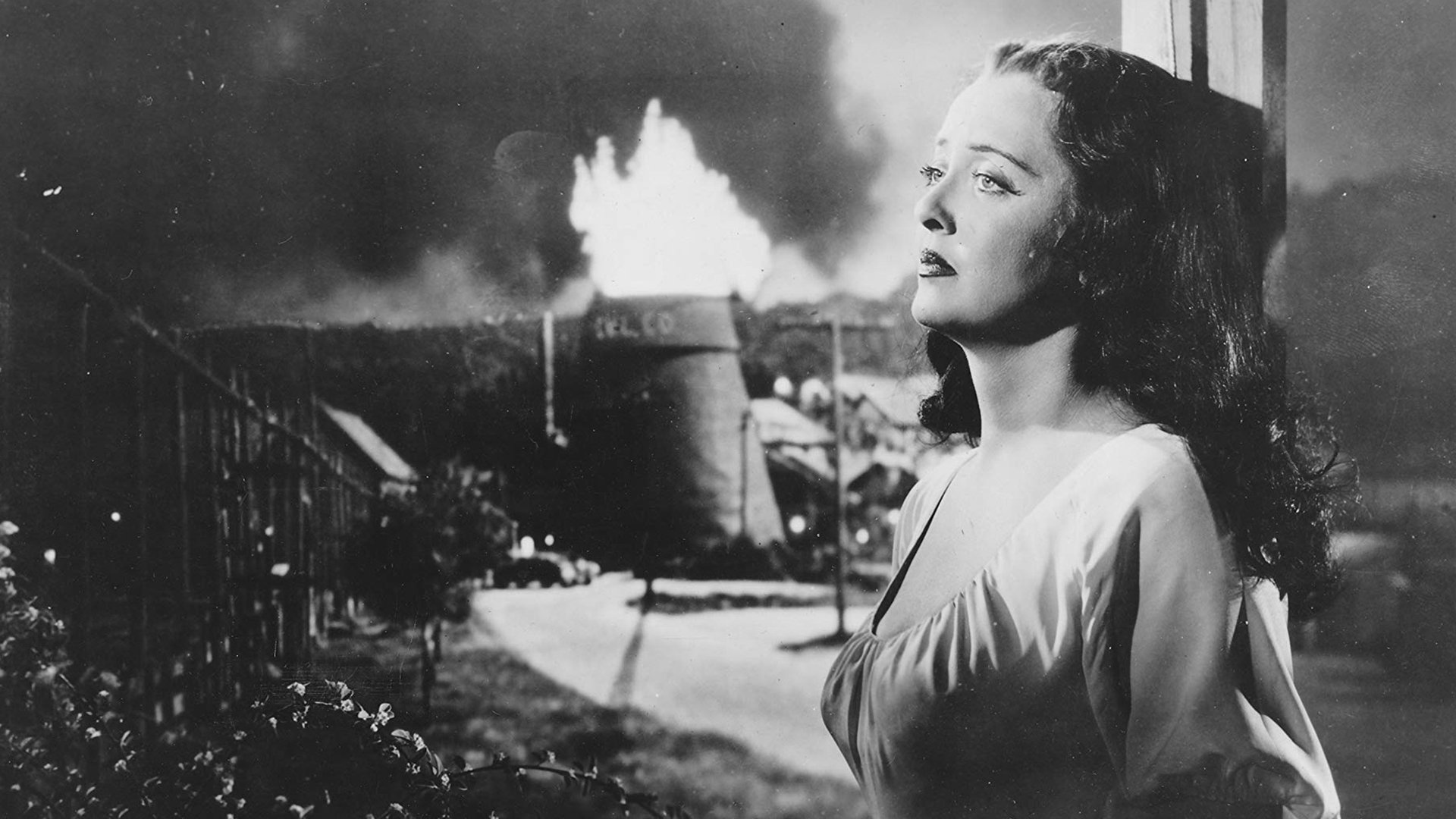 Beyond the Forest Background