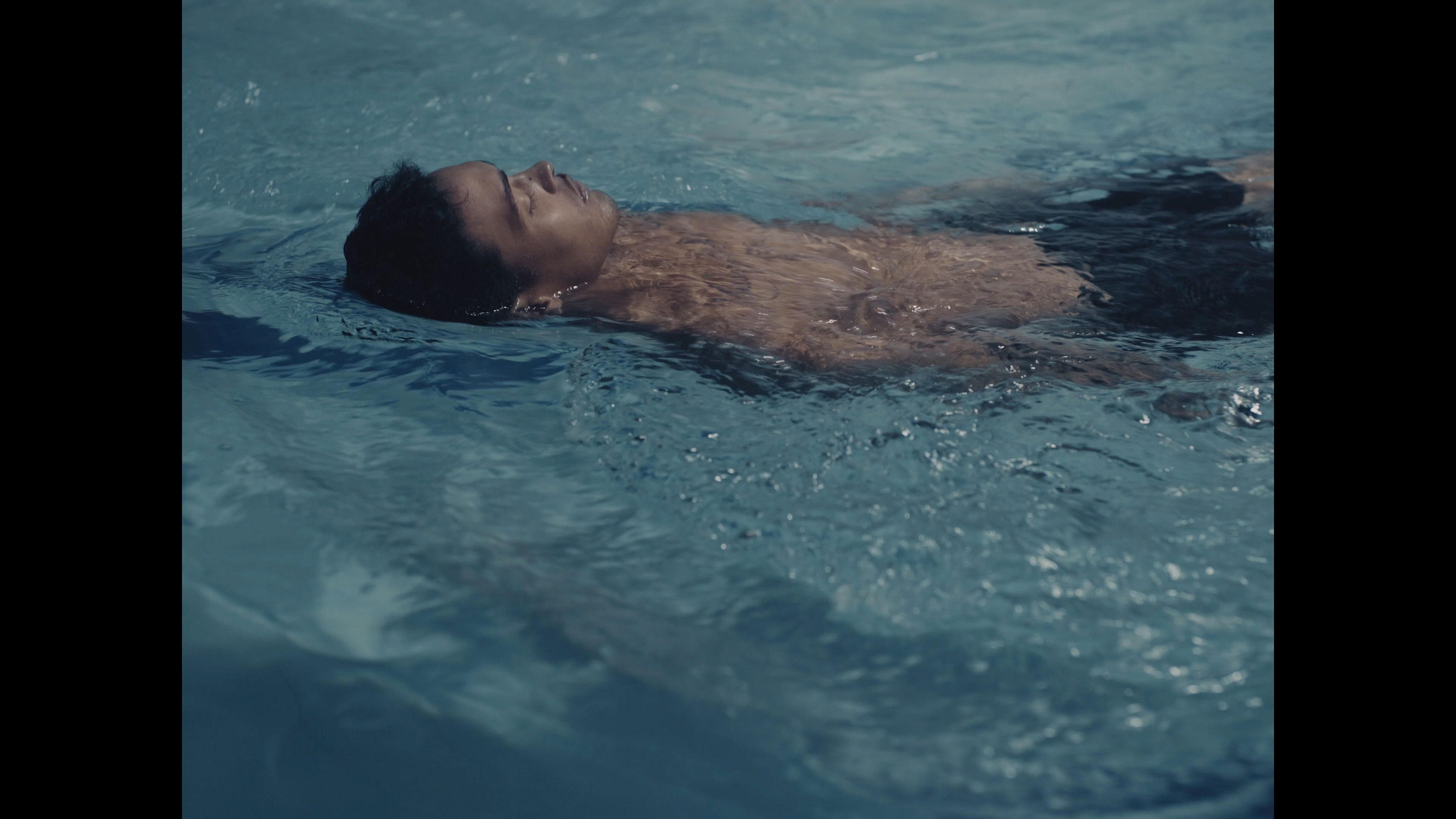 Animales de guerra Background