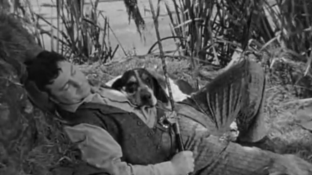 I Am an American Background