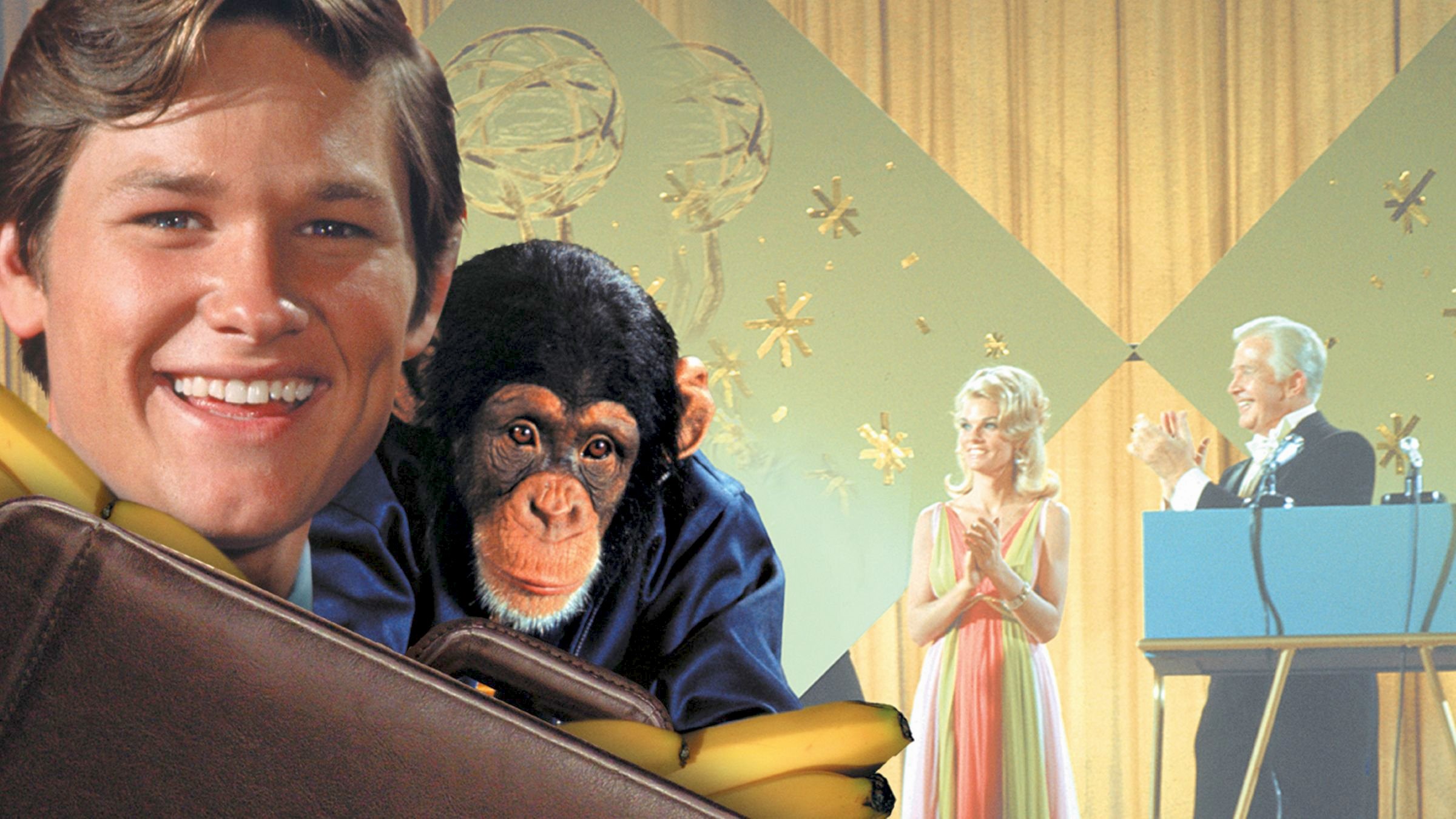 The Barefoot Executive Background