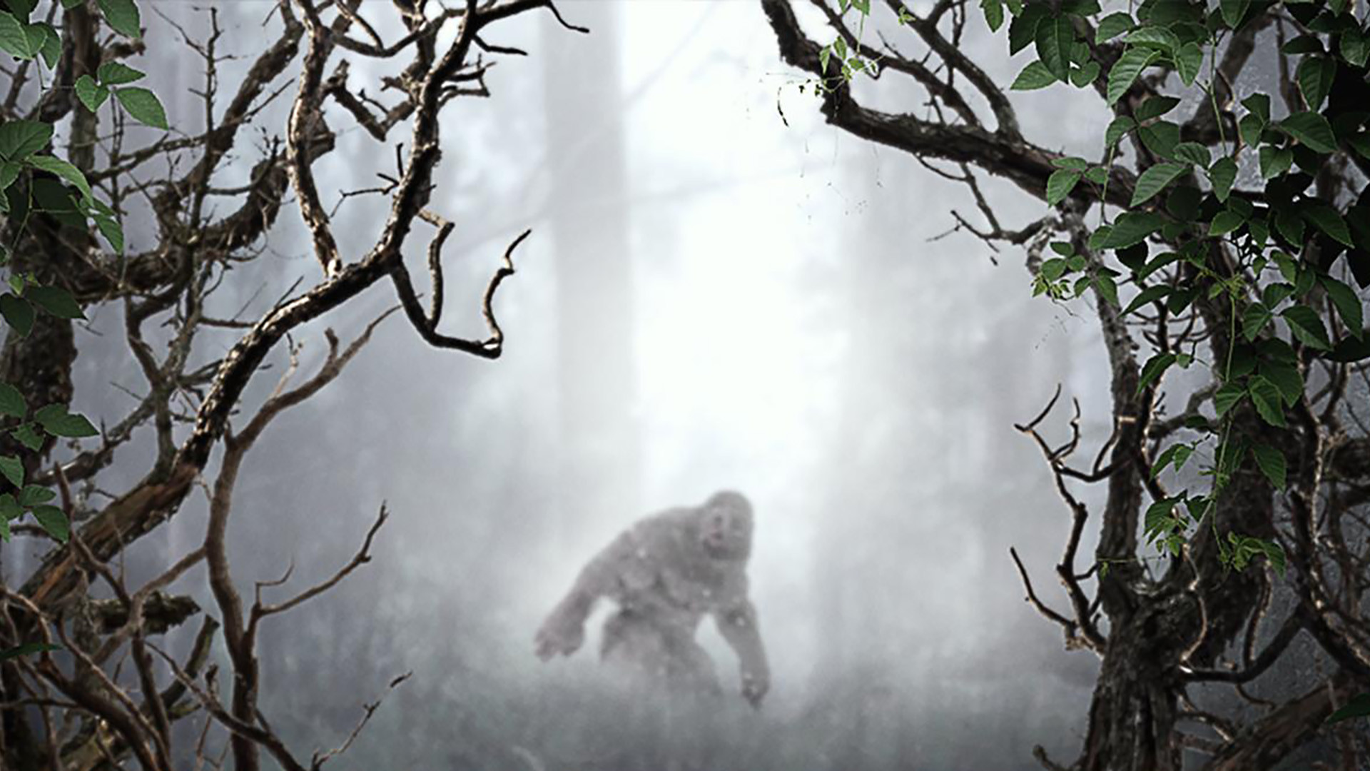 MonsterQuest Background