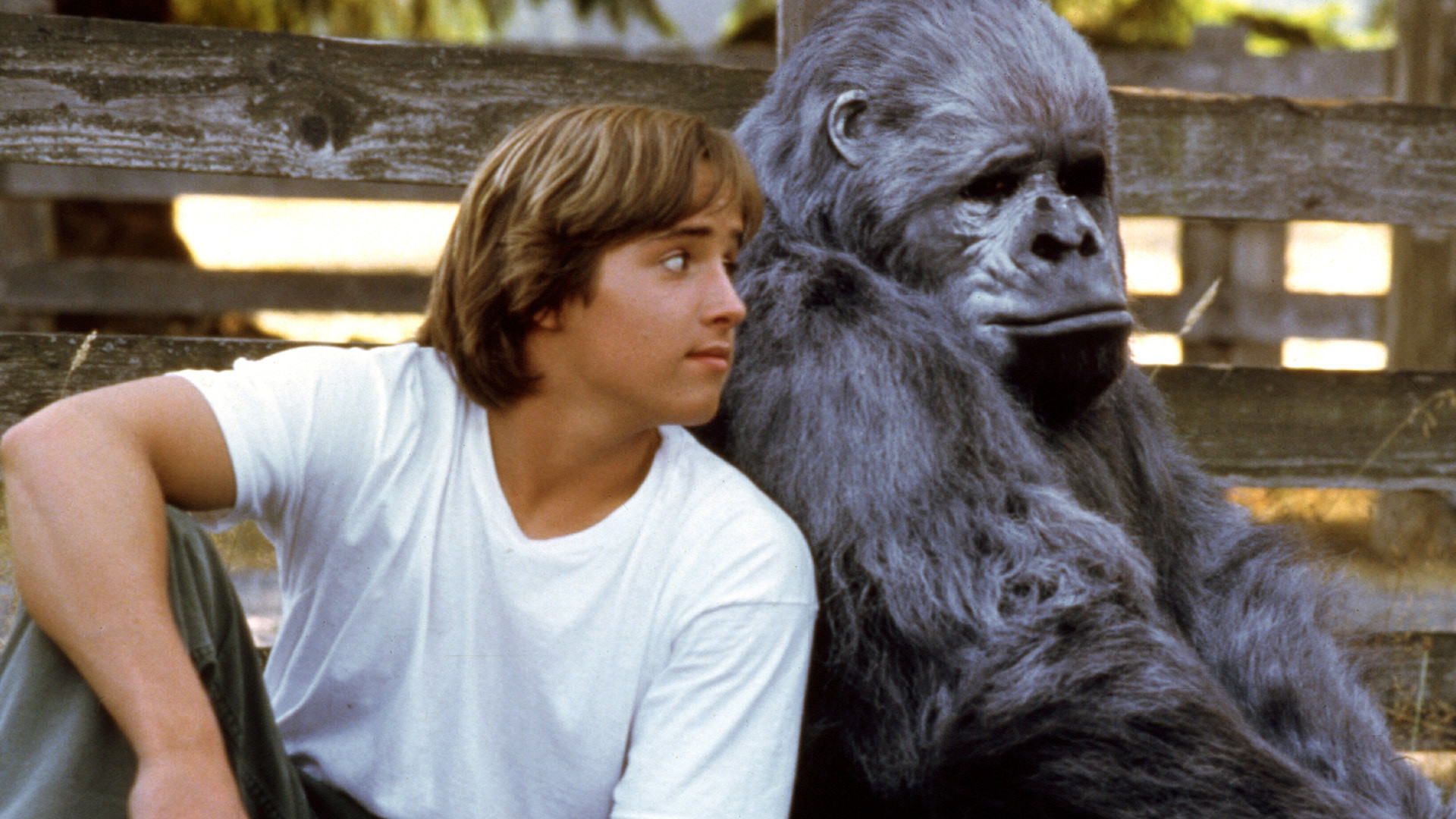 Born to Be Wild Background