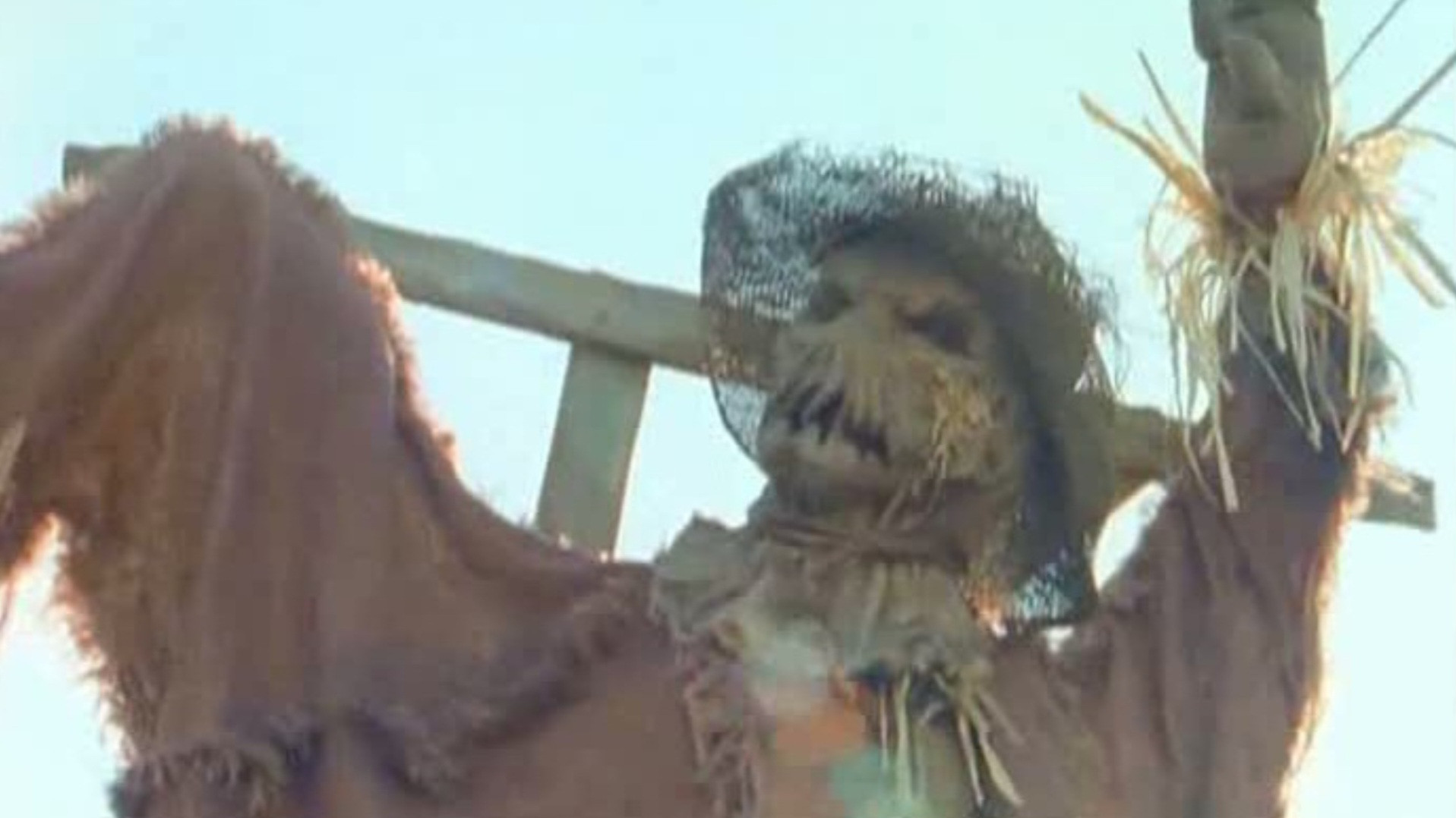 Goosebumps: The Scarecrow Walks at Midnight Background