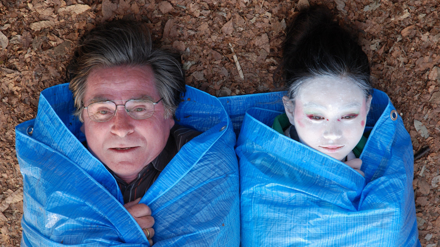 Cherry Blossoms Background