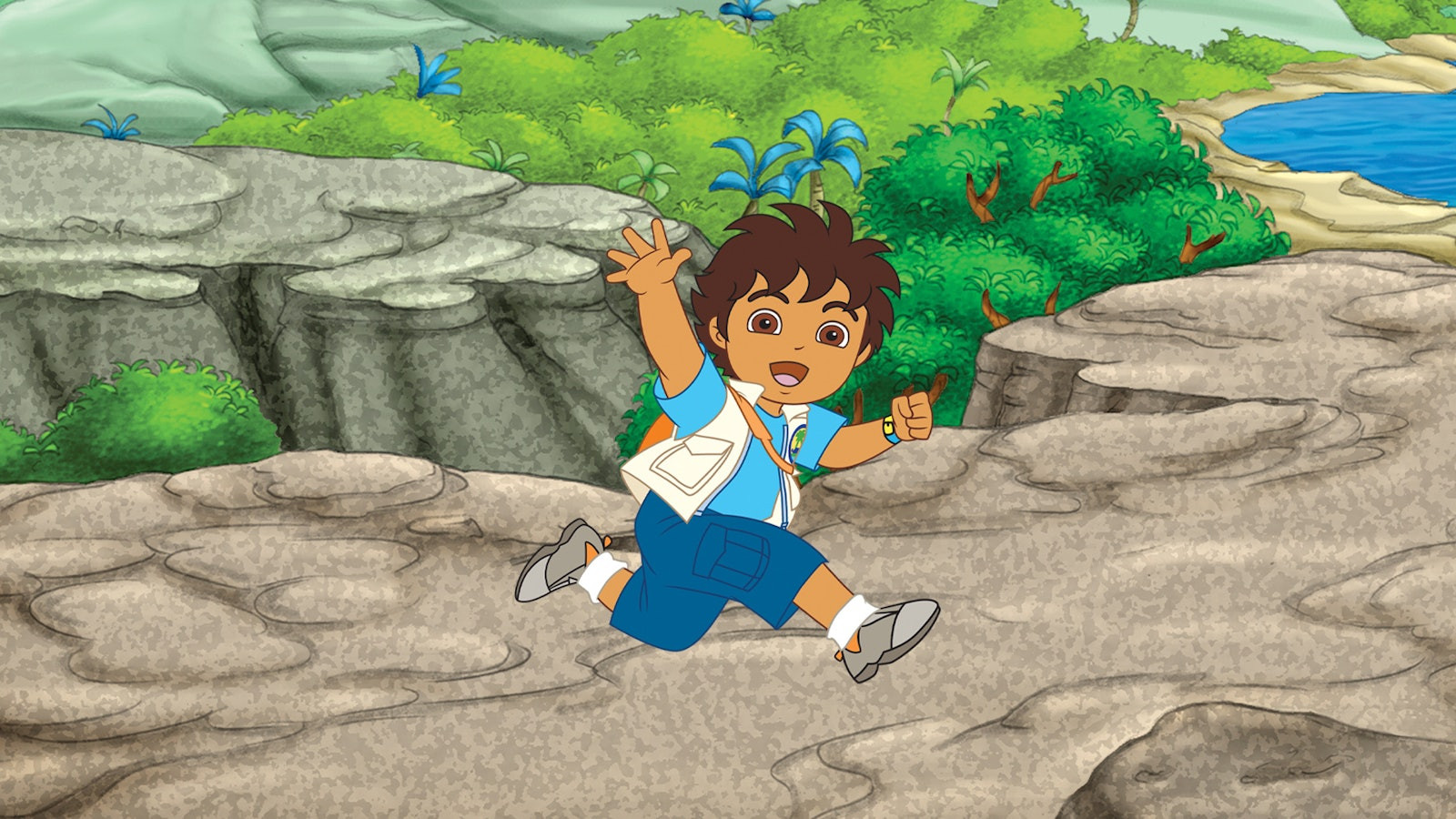Go, Diego, Go! Background