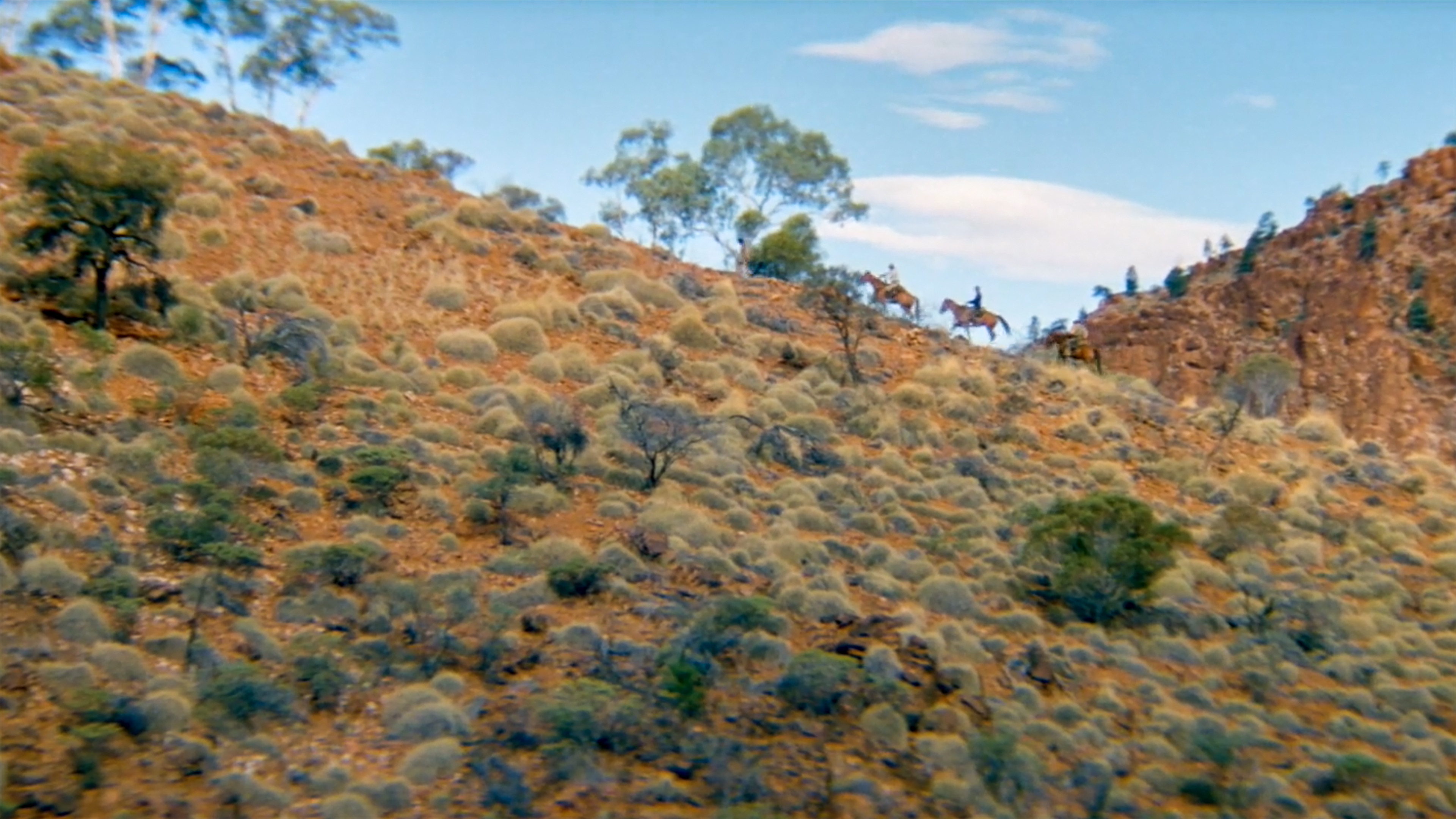 The Tracker Background