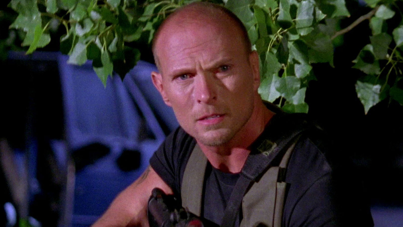 The Dead Undead Background