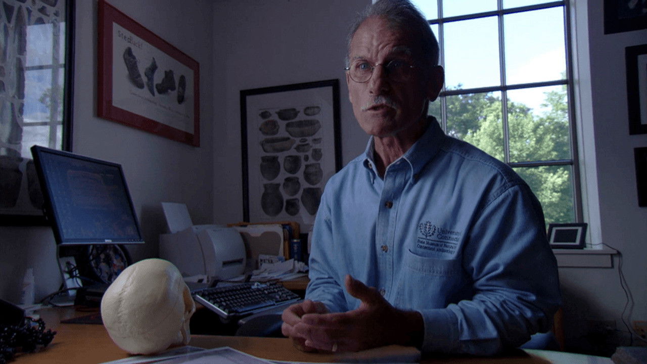 MysteryQuest Background