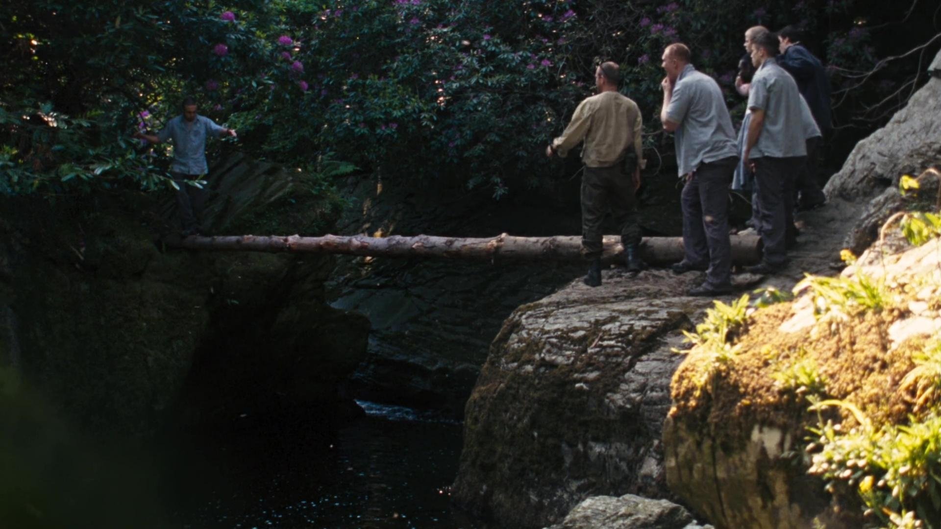 Wilderness Background