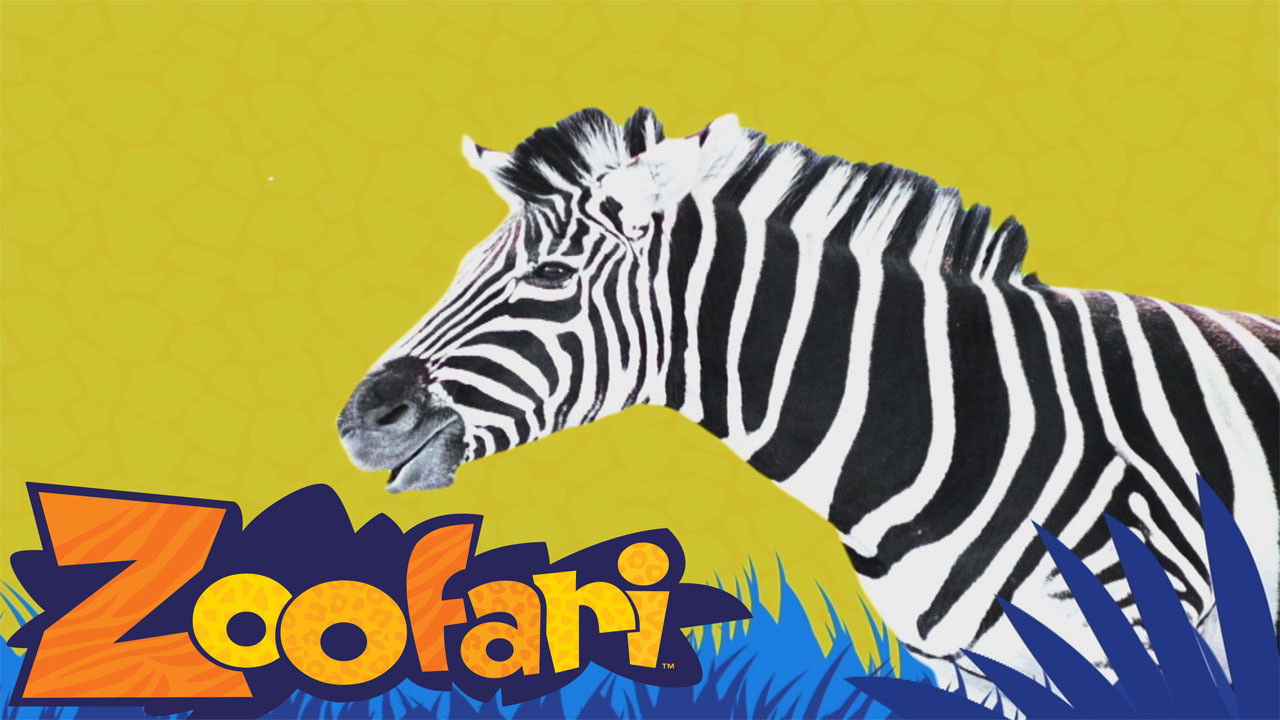 Zoofari Background