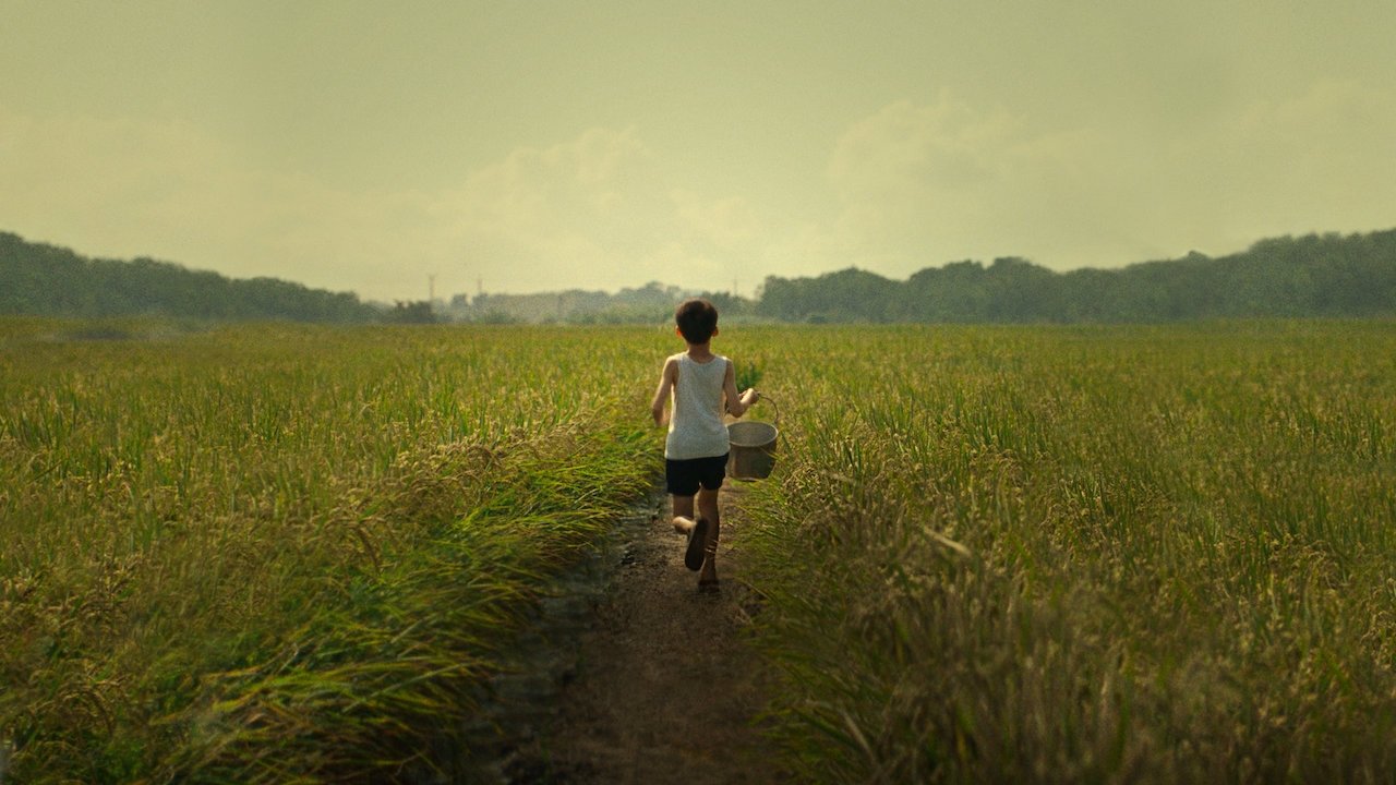 Tigertail Background