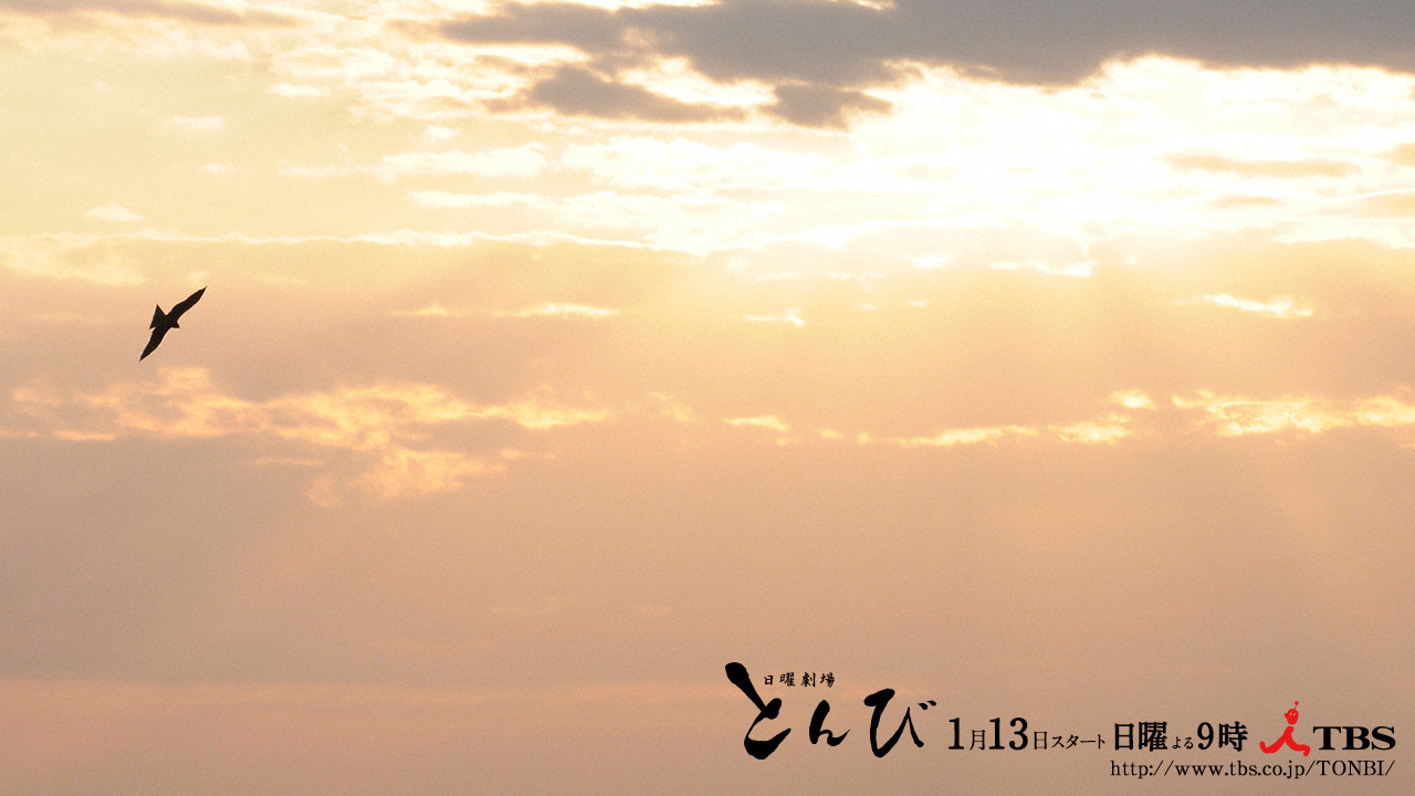 Black Kite Background