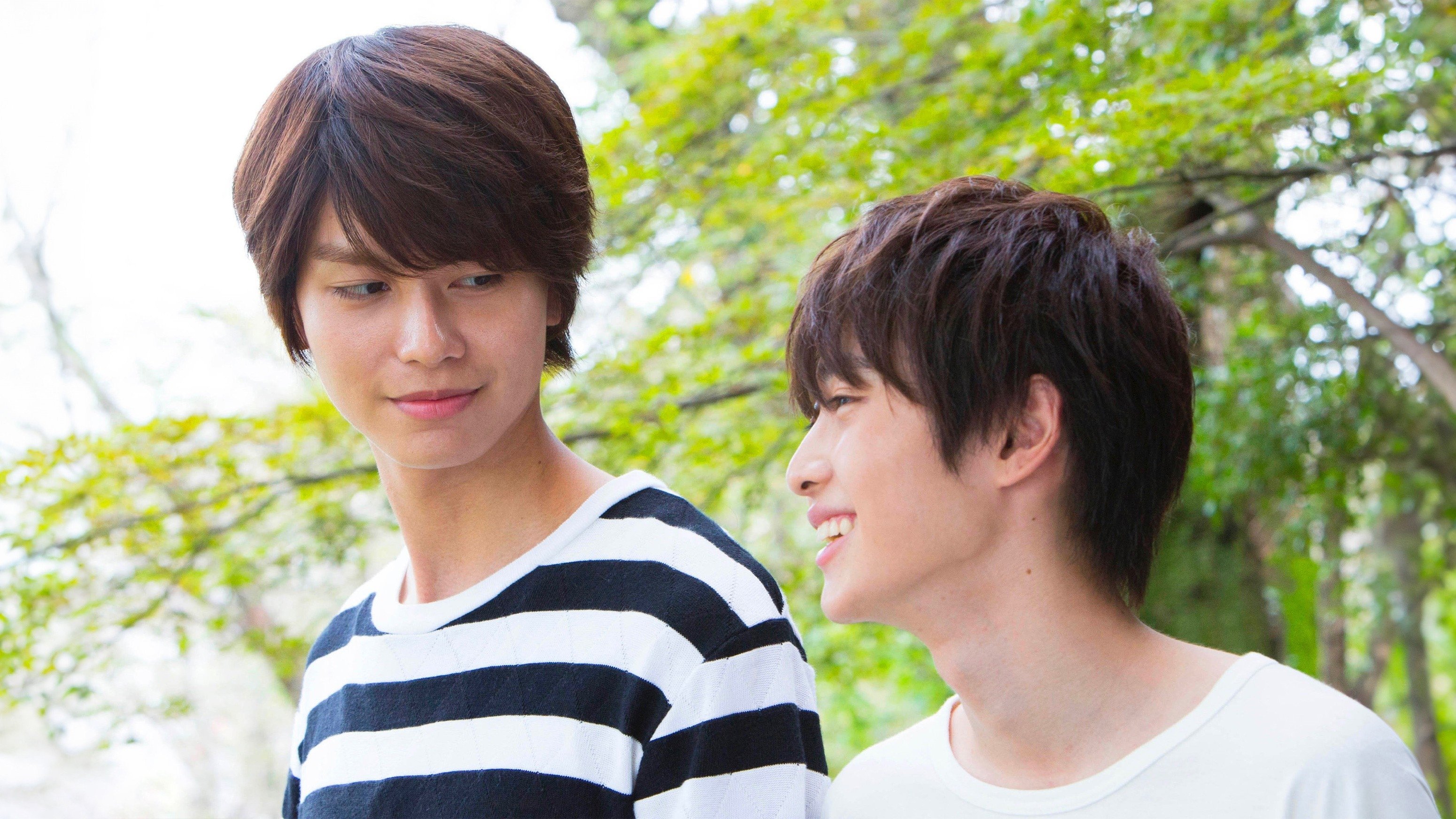 Silhouette of Your Voice Background