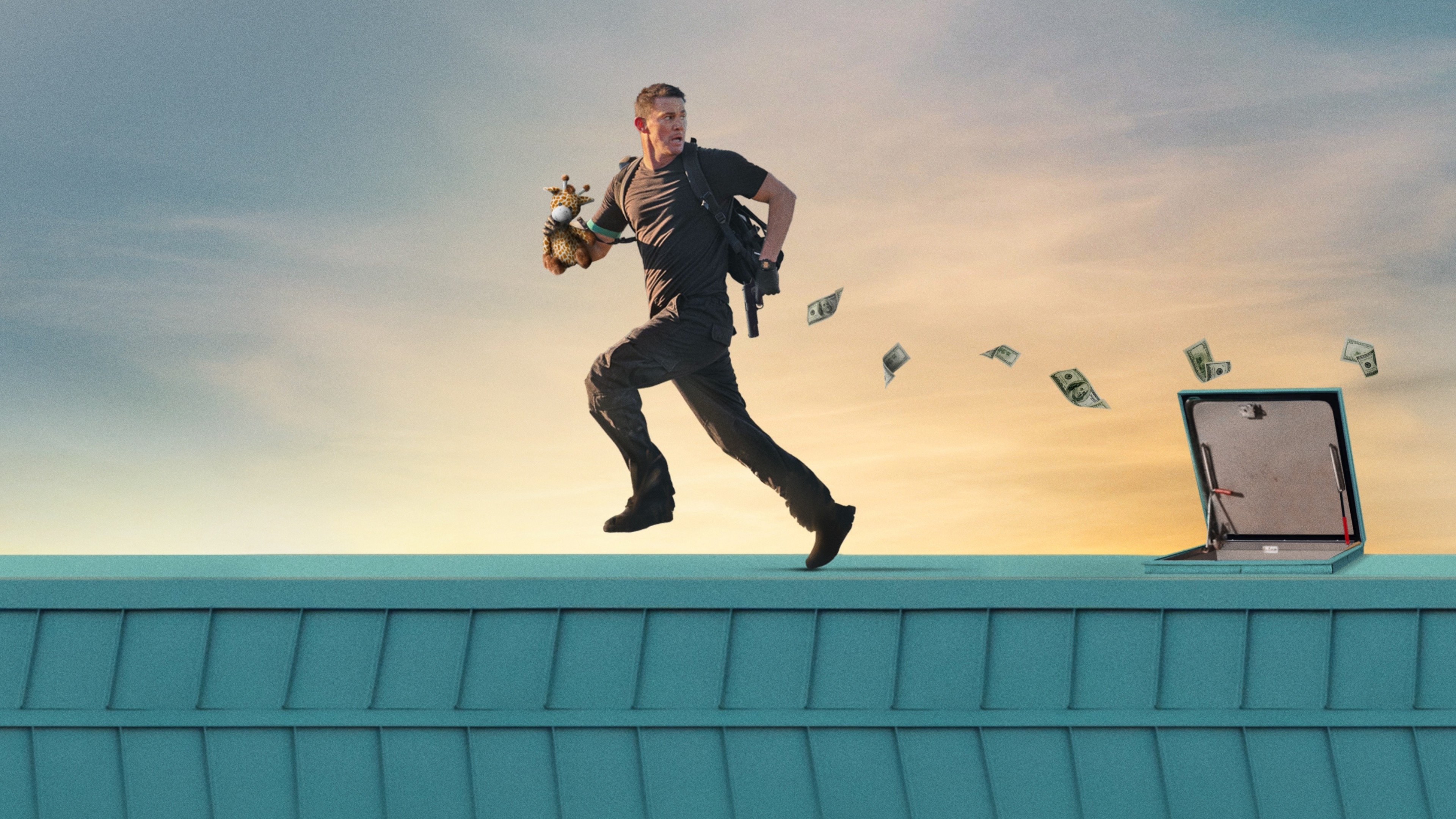 Roofman Background