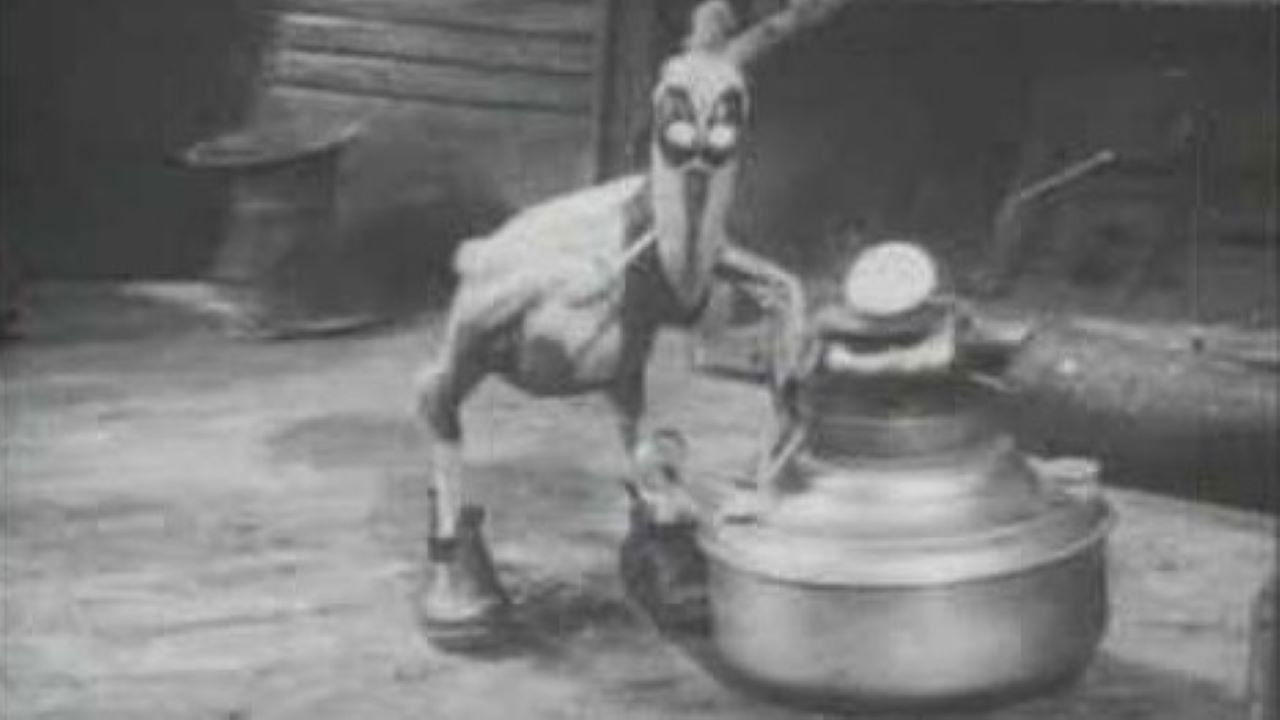 It's a Bird Background