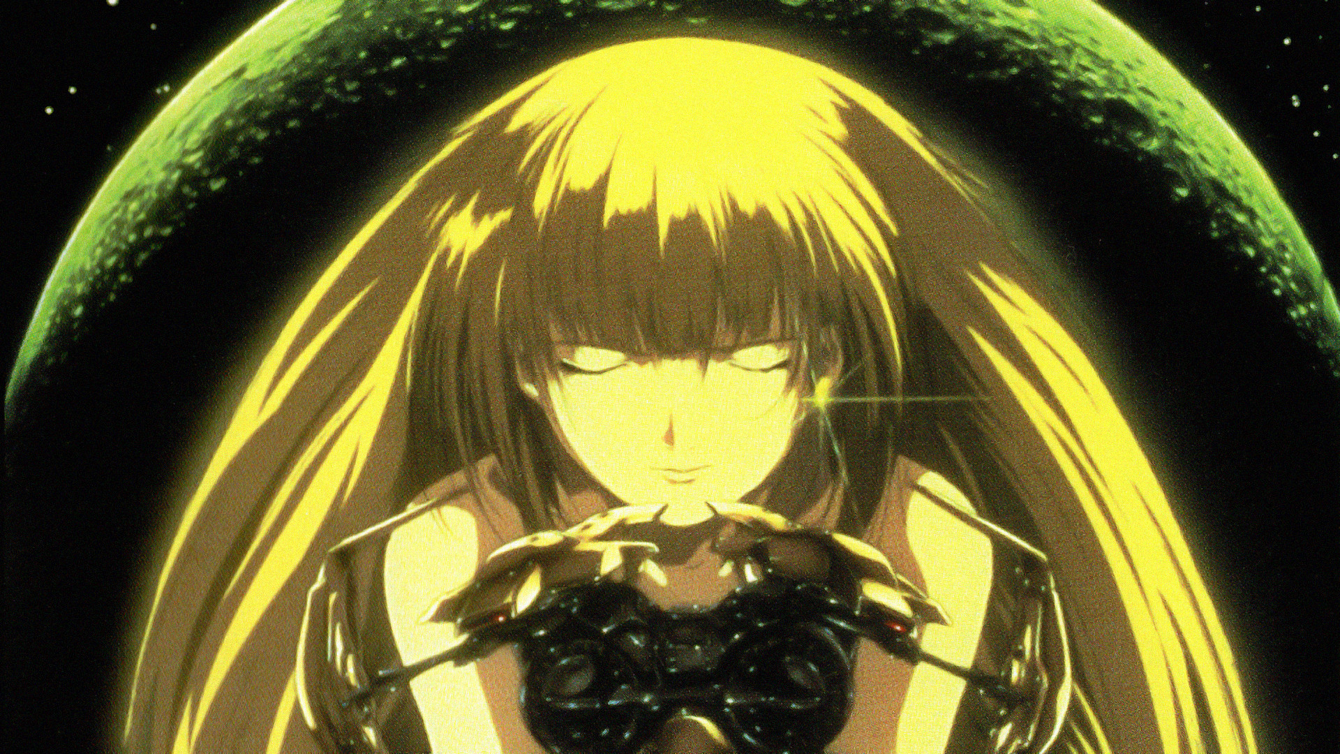 Bounty Dog Background