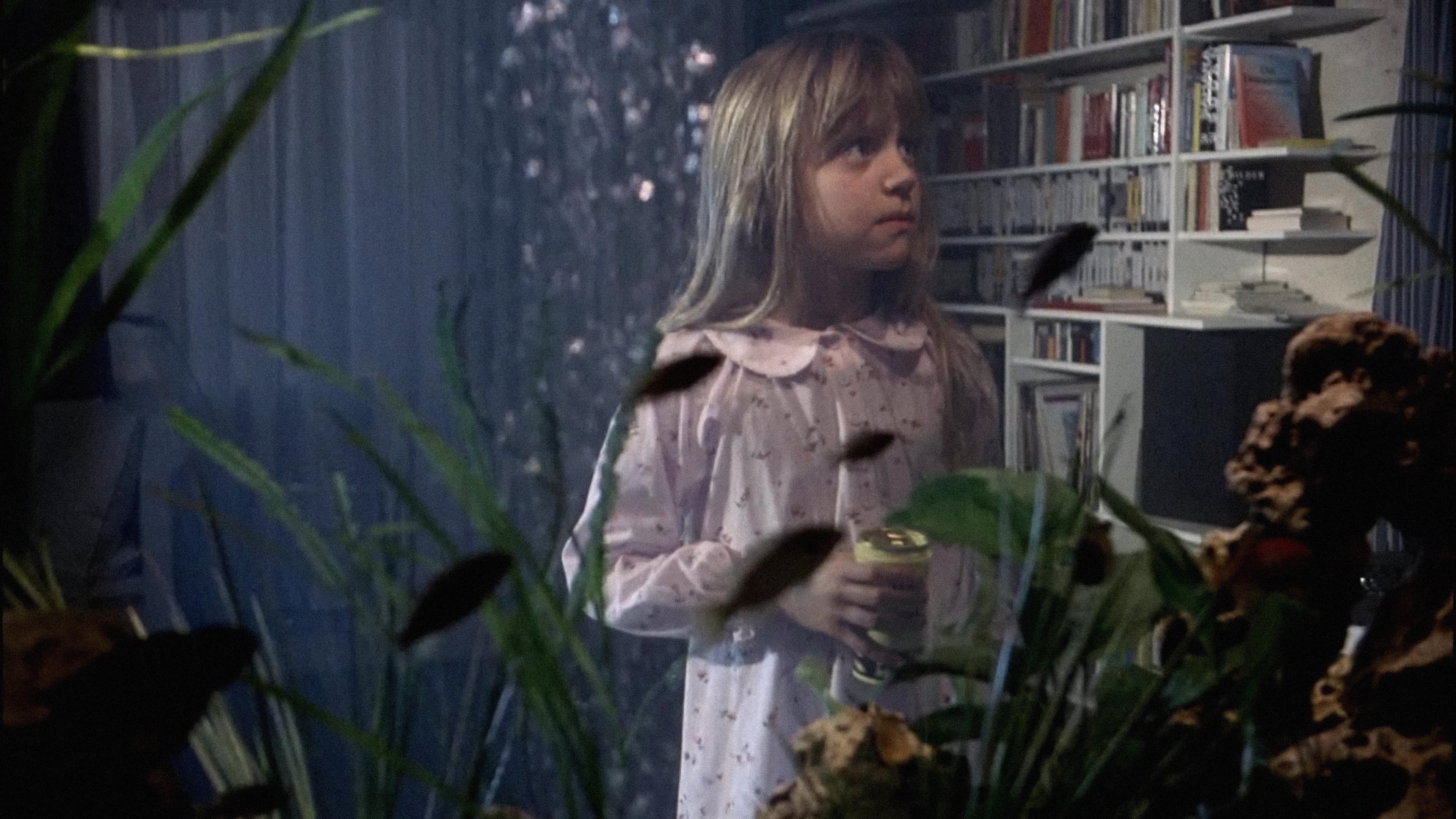 The Seventh Continent Background