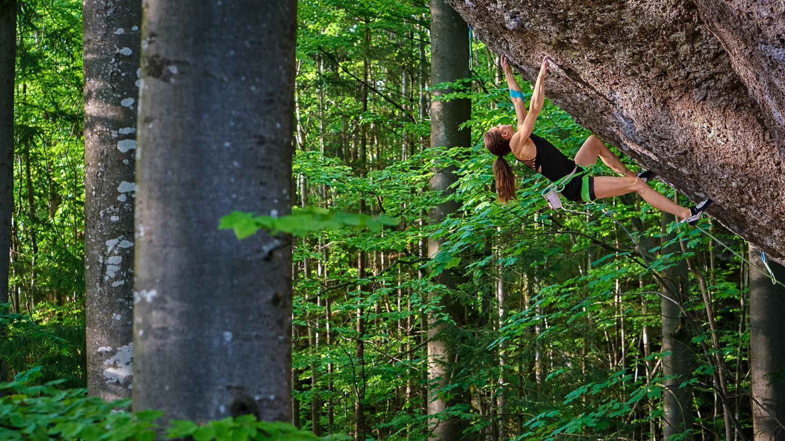 Action Directe Background