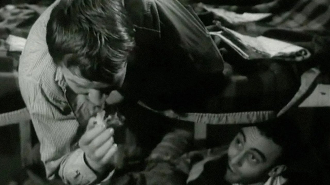 Les Ratés Background