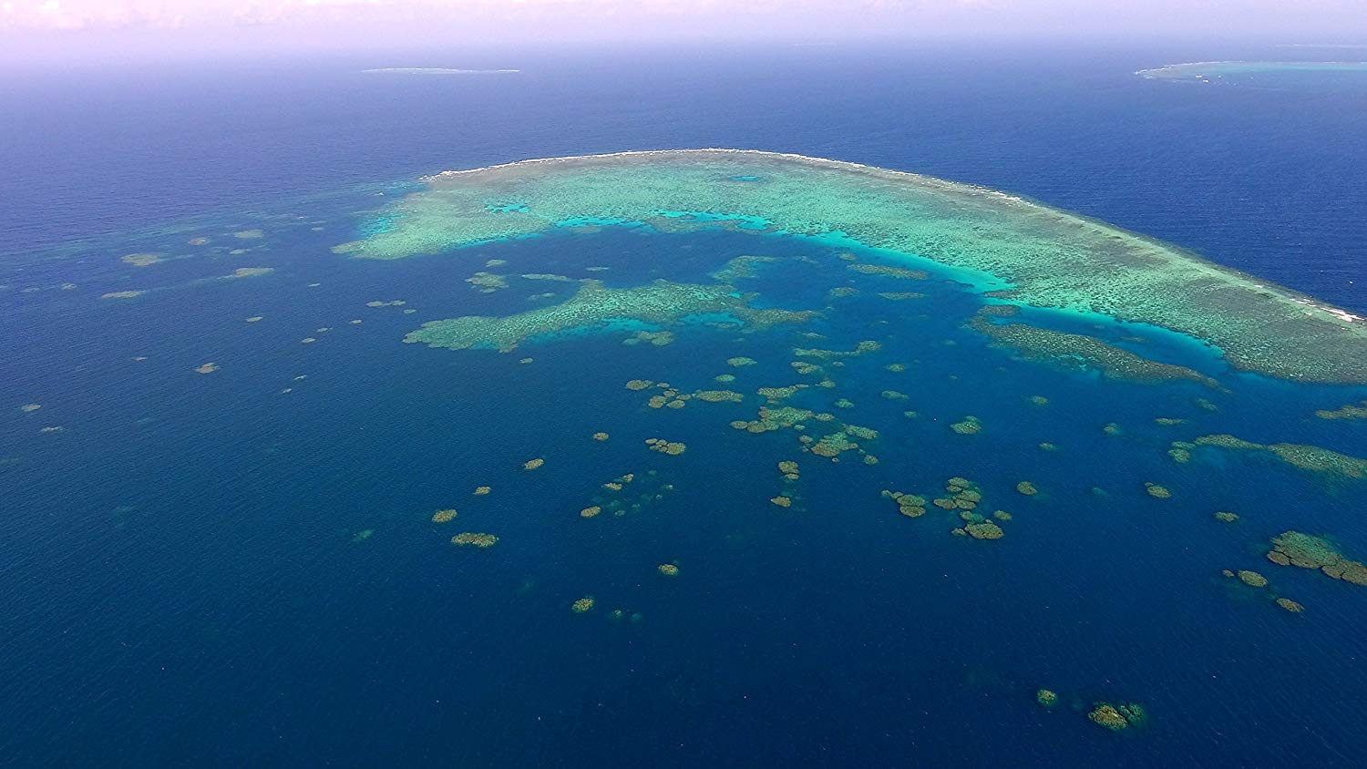 Evolution 4K Background