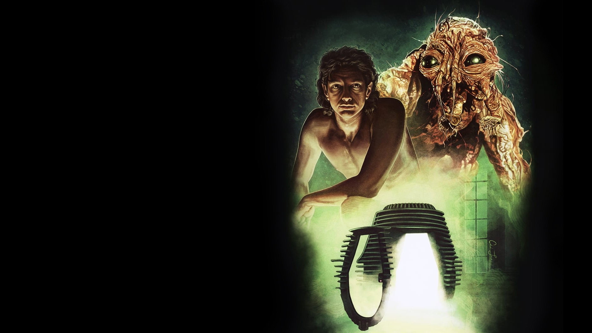 The Fly Background