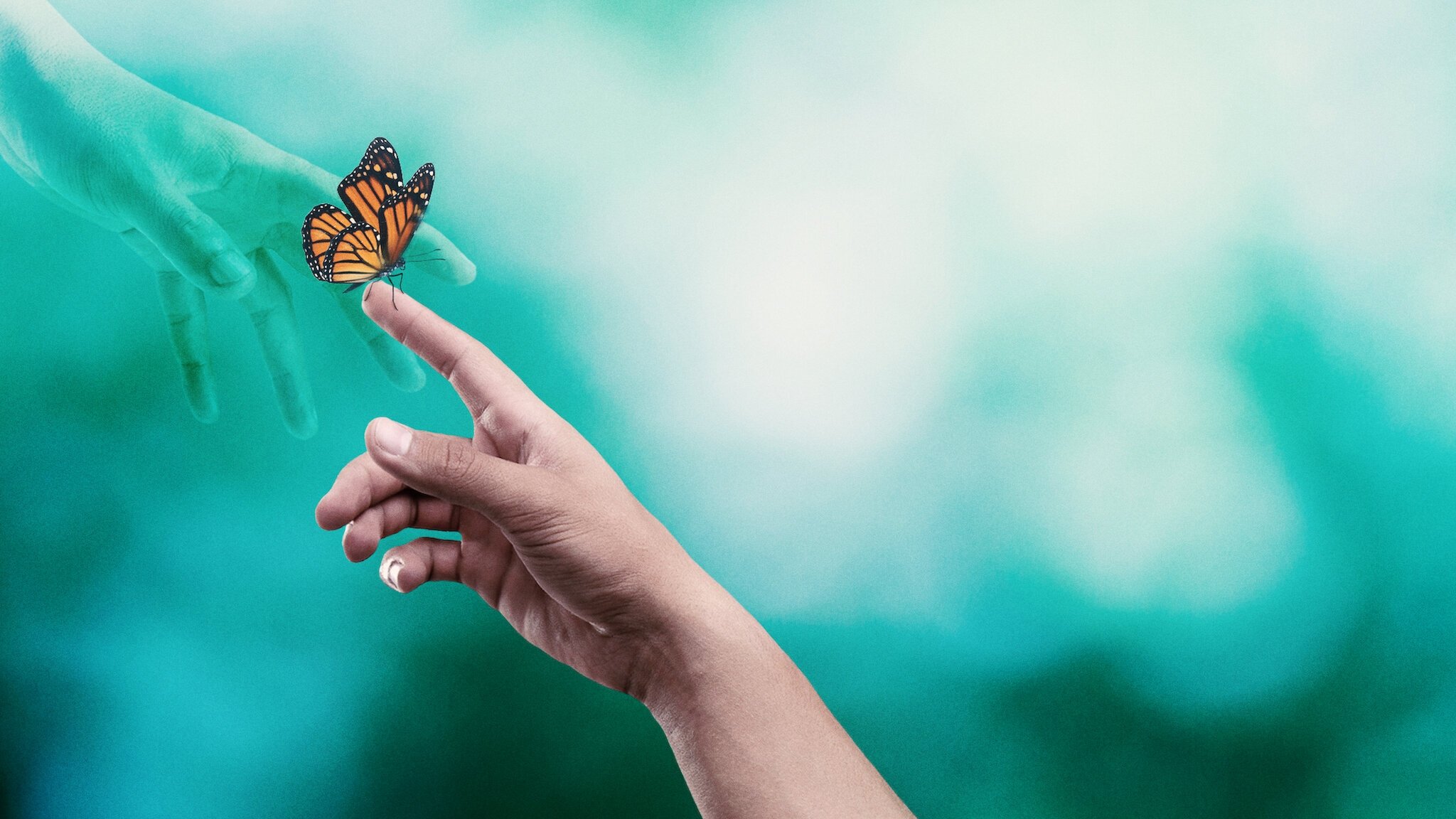 Surviving Death Background