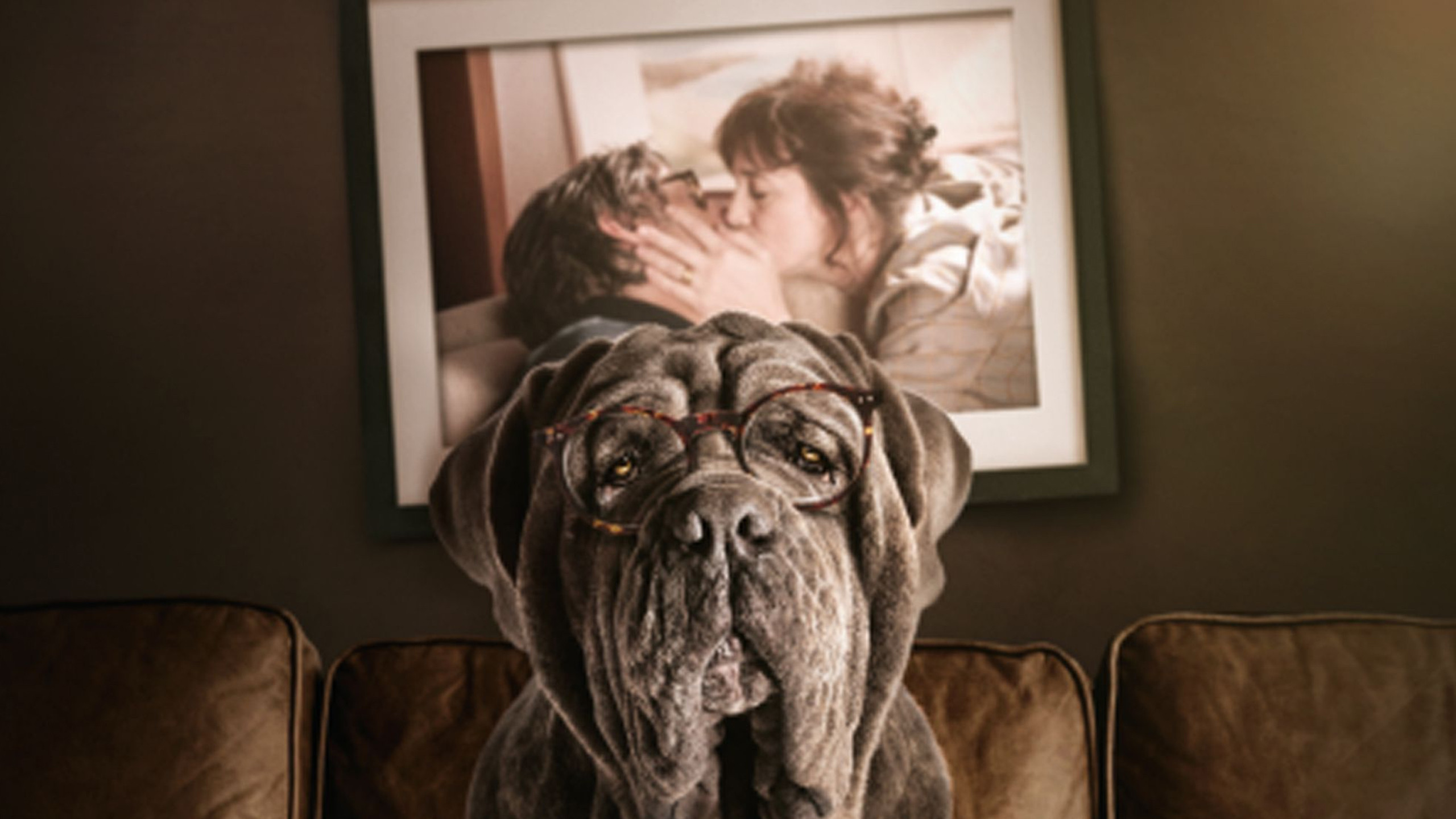 My Dog Stupid Background