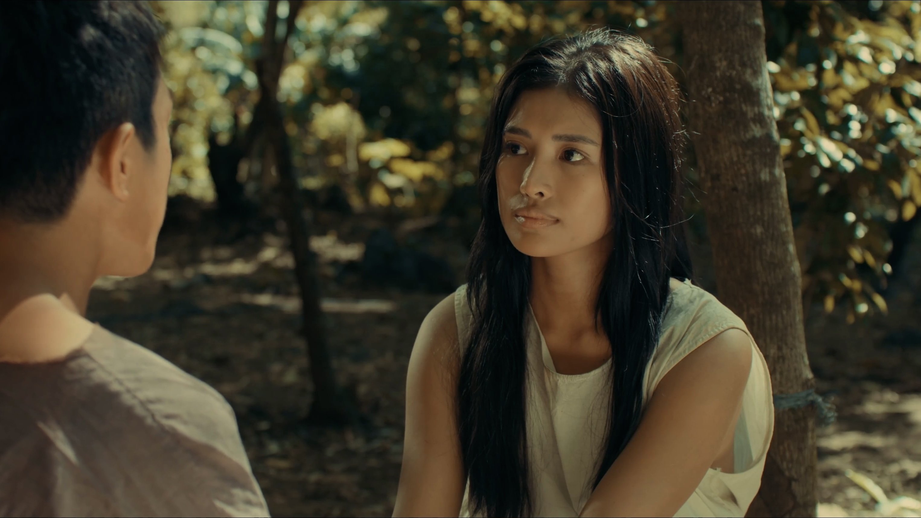 Victoria's Silver Background