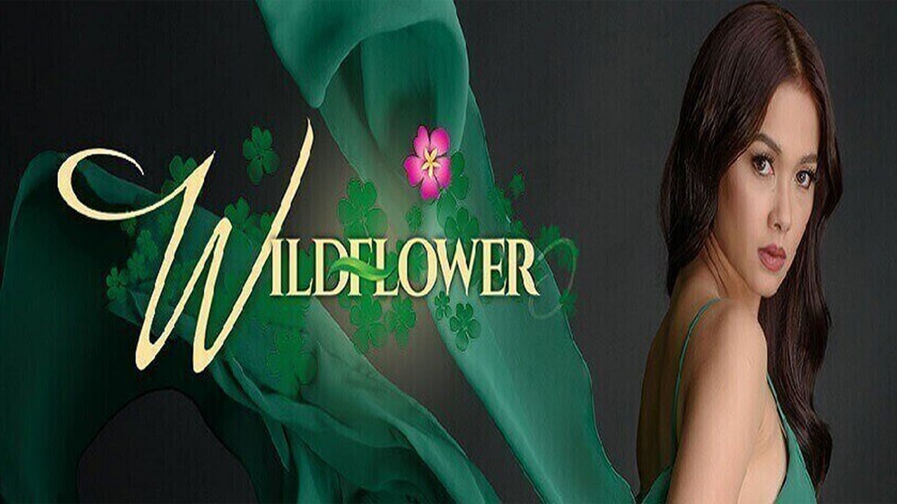 Wildflower Background
