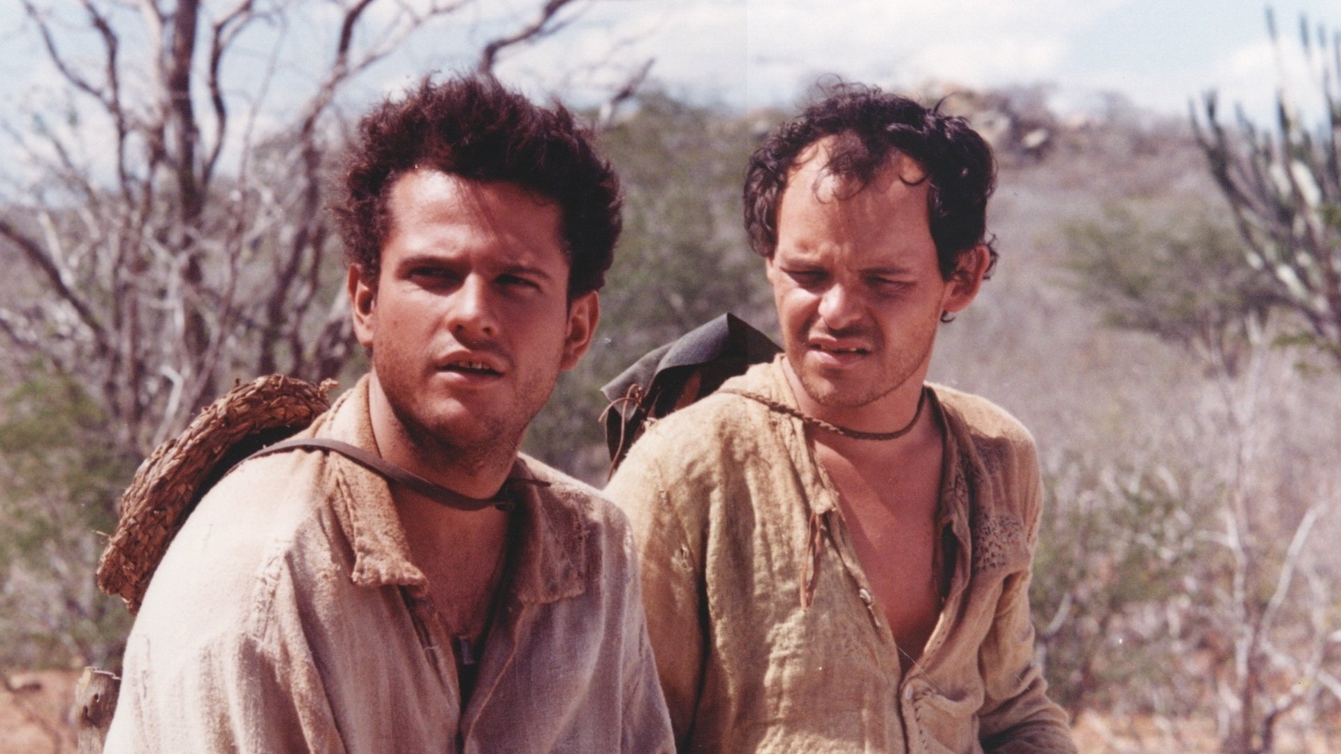 A Dog's Will Background