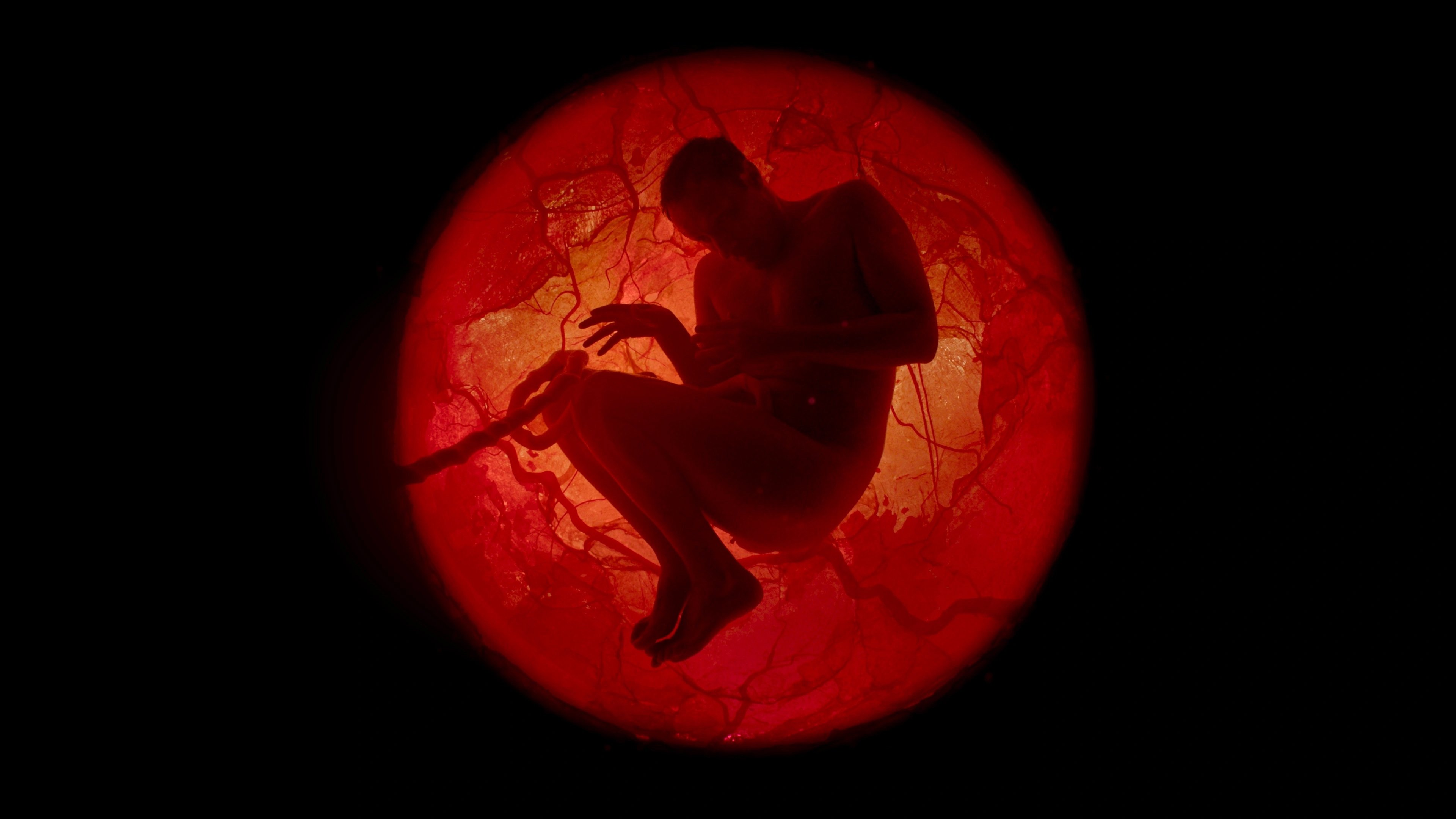 A Whole Lifetime with Jamie Demetriou Background