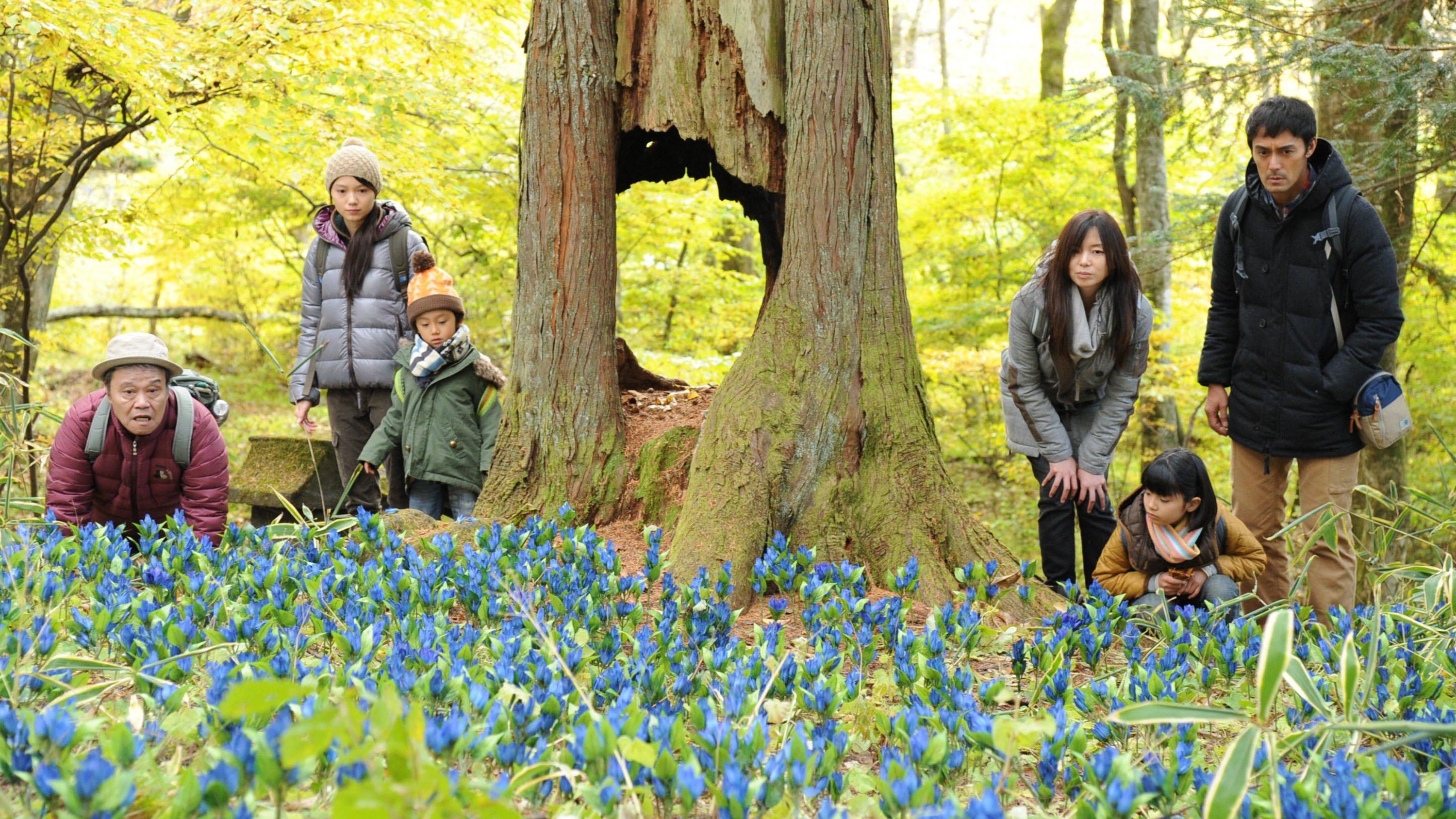 Going My Home Background