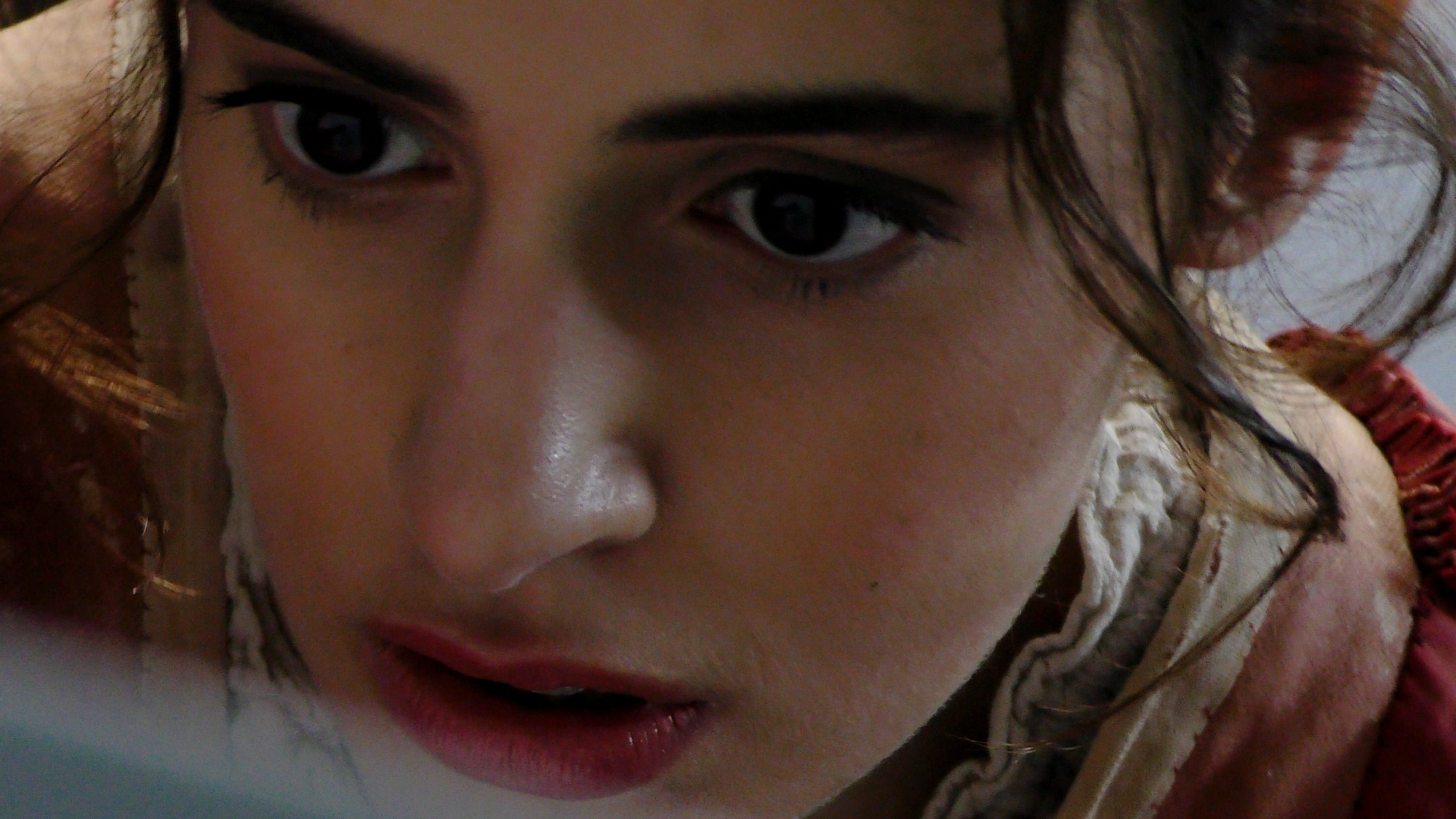 Artemisia Gentileschi, Warrior Painter Background