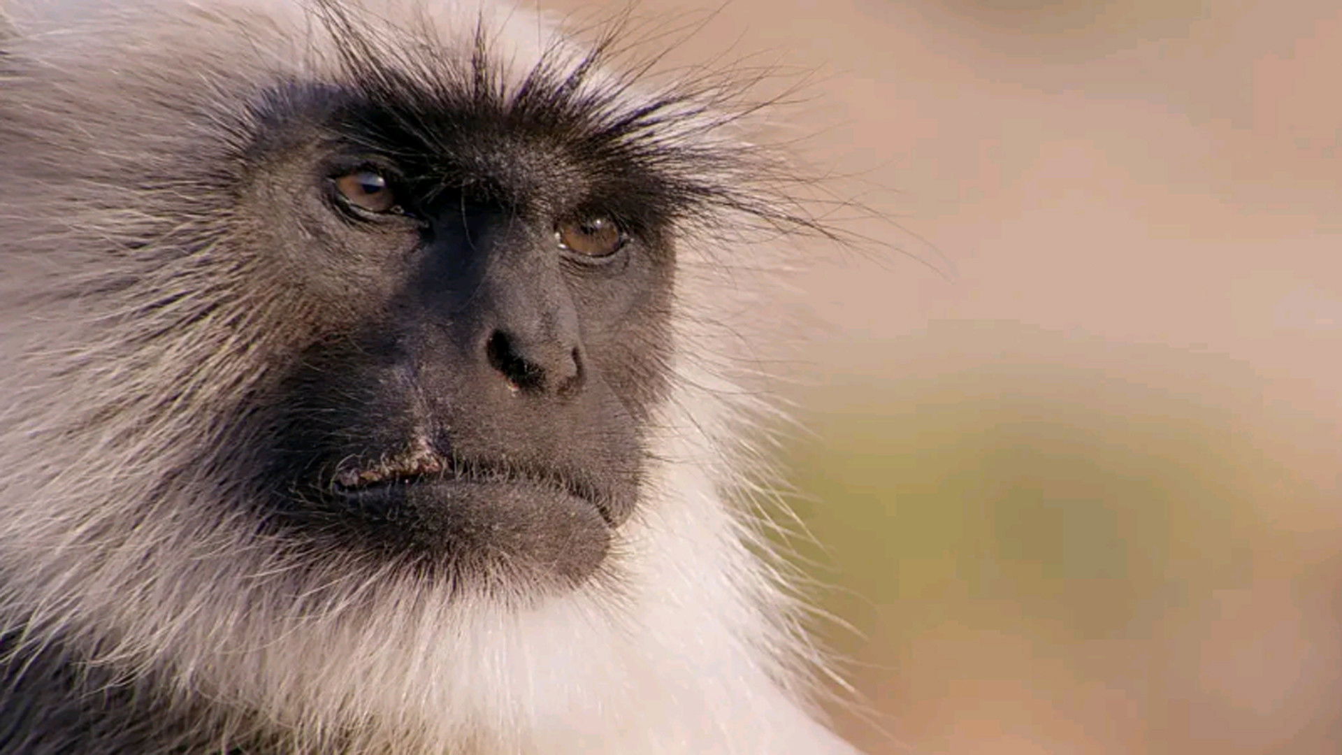 Life Story Background