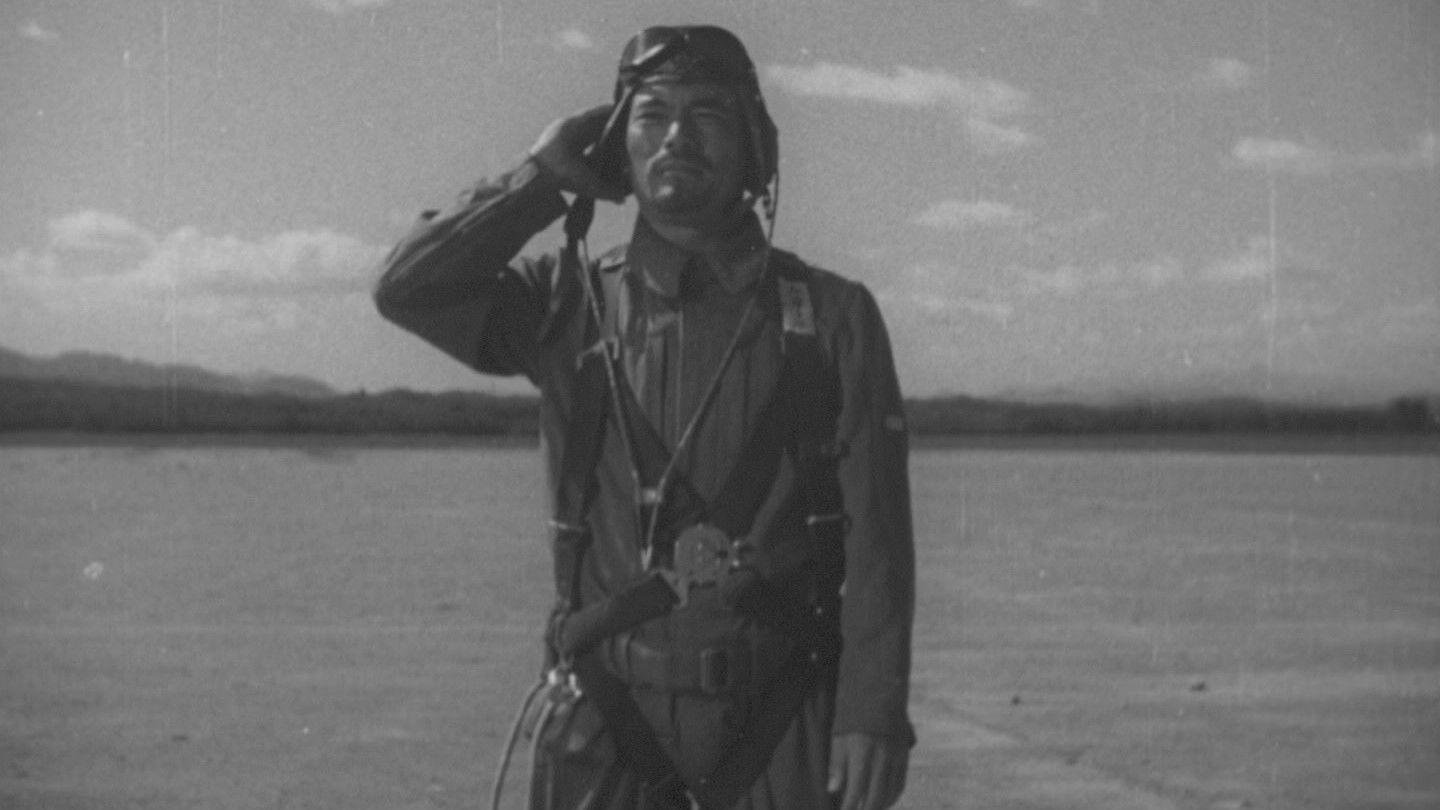 Colonel Kato's Falcon Squadron Background